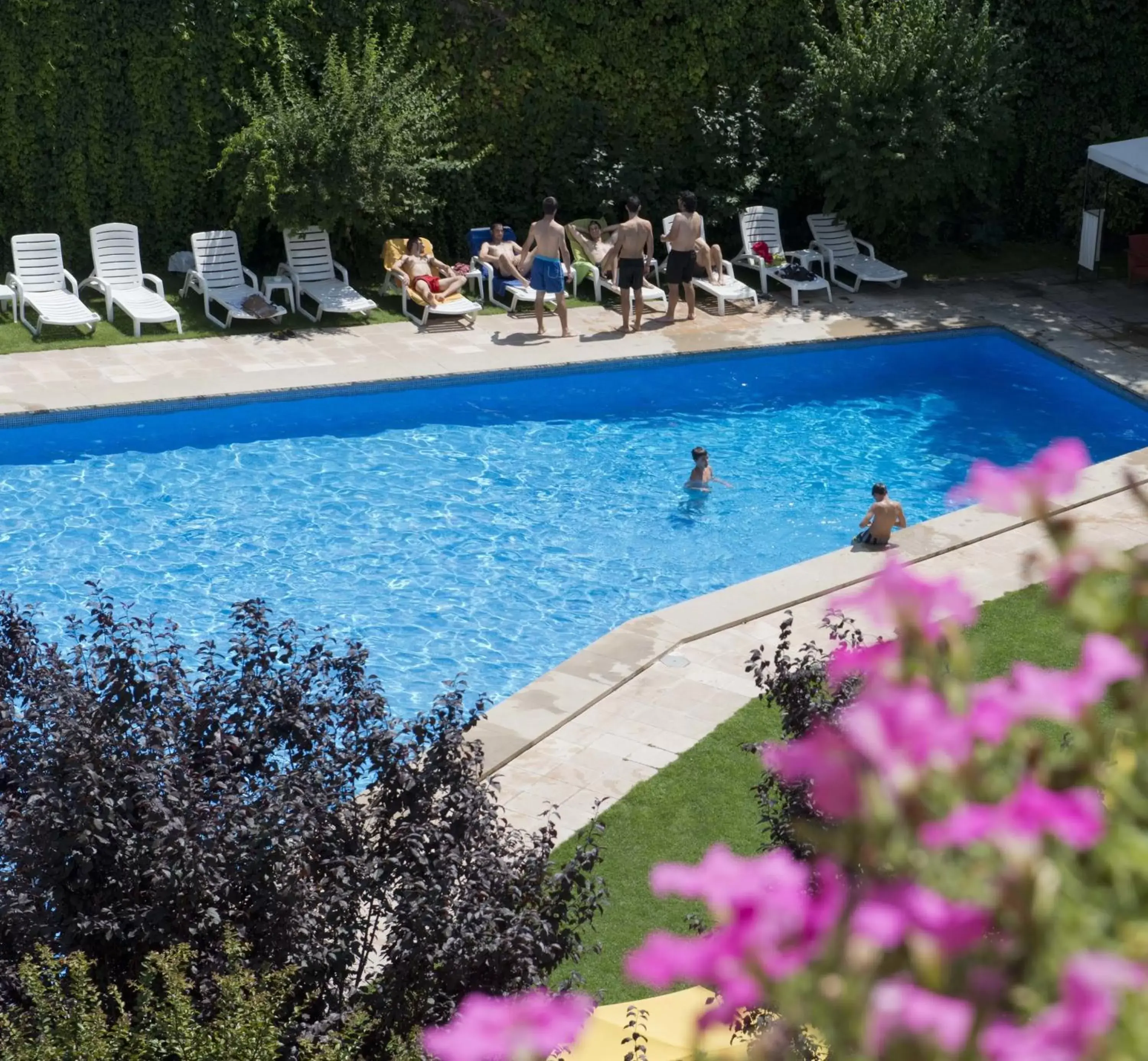 Garden, Swimming Pool in Hotel Restaurant Pessets & SPA