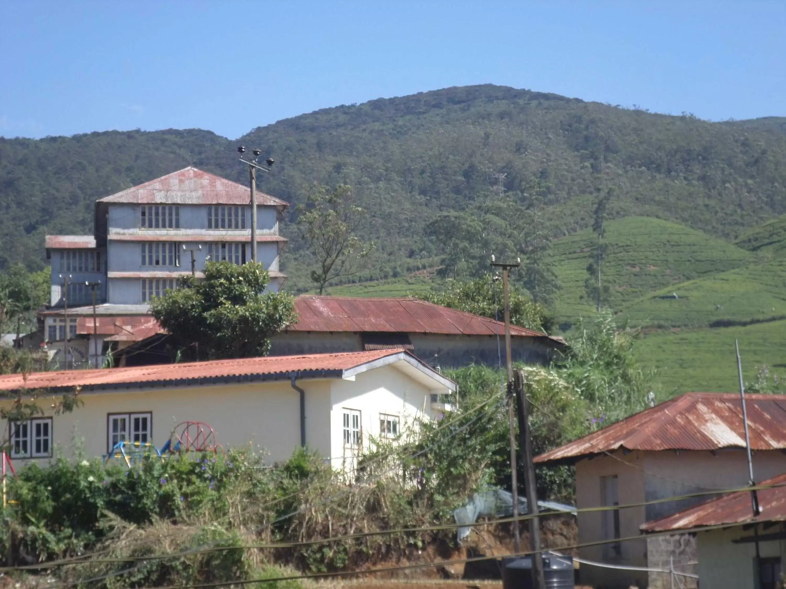 Other, Mountain View in The Train View