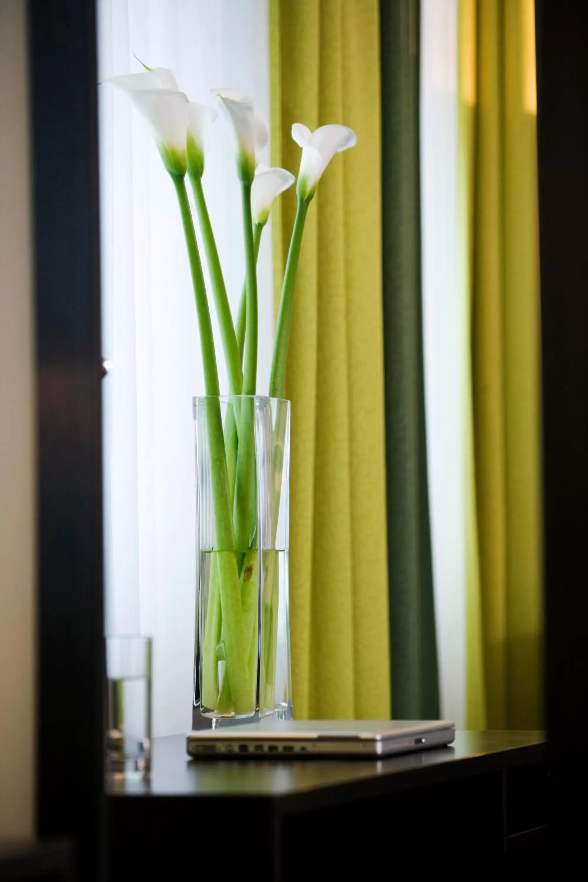 Decorative detail, TV/Entertainment Center in Rainers Hotel Vienna