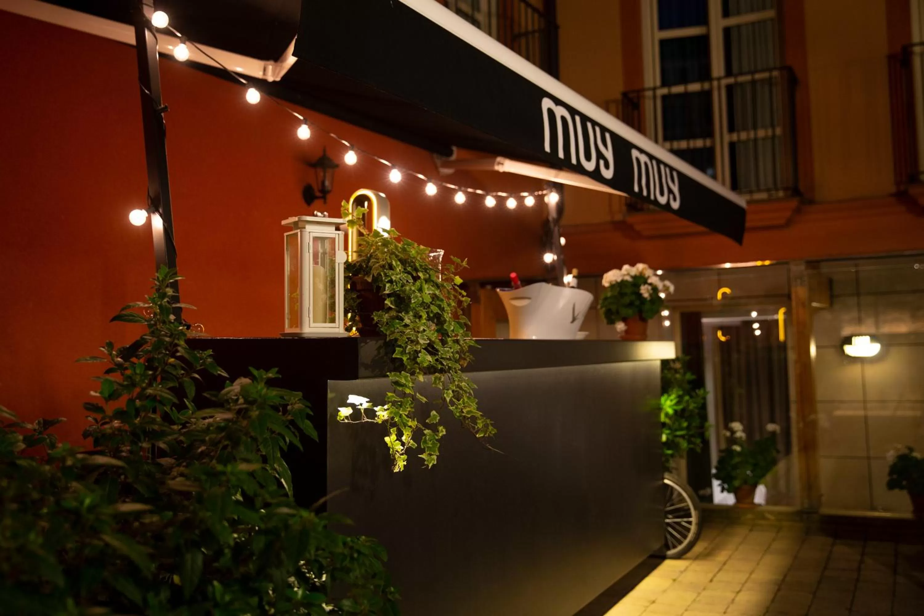 Patio in RICE Palacio de los Blasones