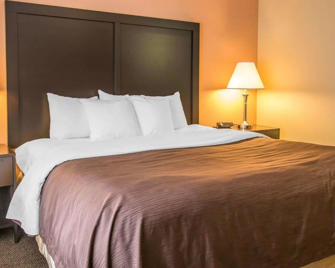 Bed in Quality Inn & Suites Niles