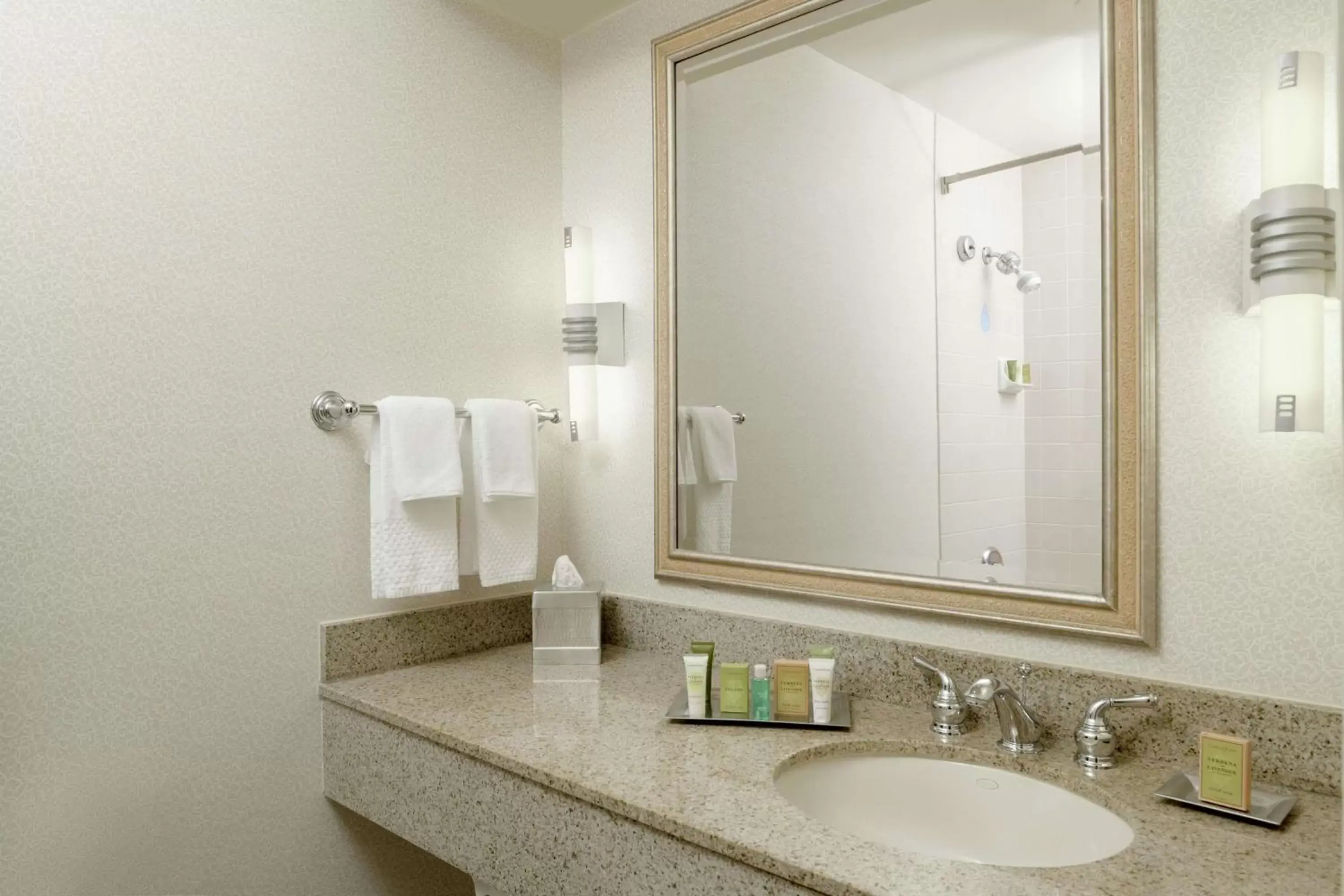 Bathroom in Hilton Boca Raton Suites