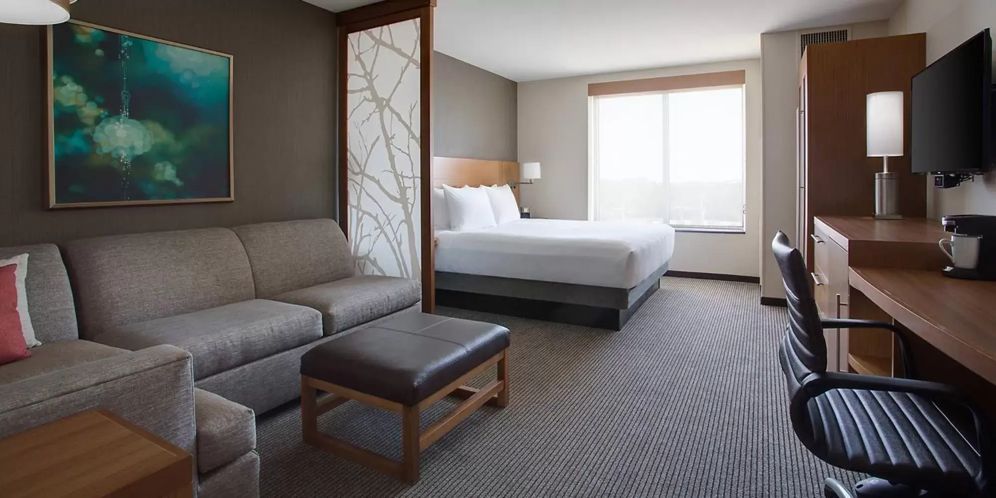 King Room with Sofa Bed and Accessible Tub - Disability Access in Hyatt Place DFW