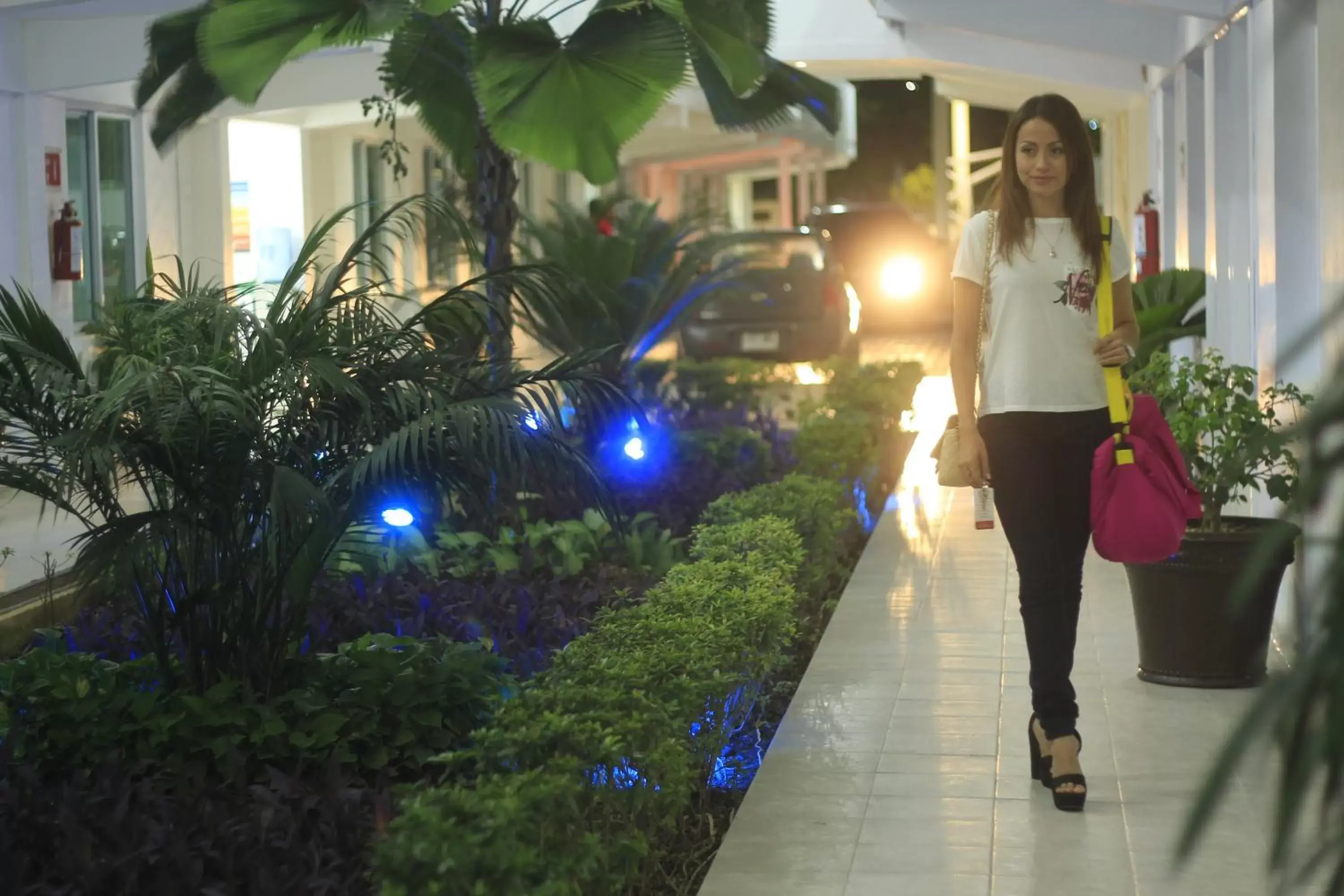 Garden in Hotel Casa Blanca