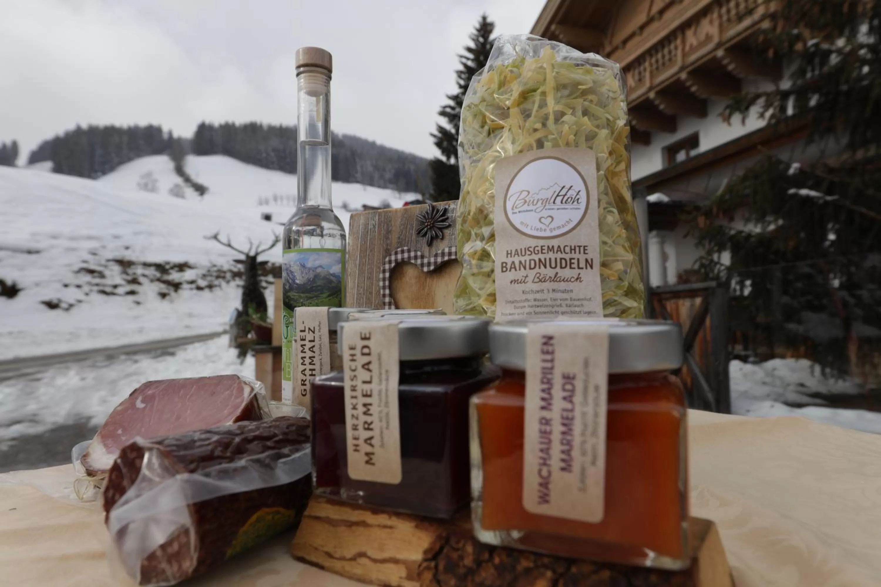 Property logo or sign in Hotel und Alpen Apartments - Bürglhöh