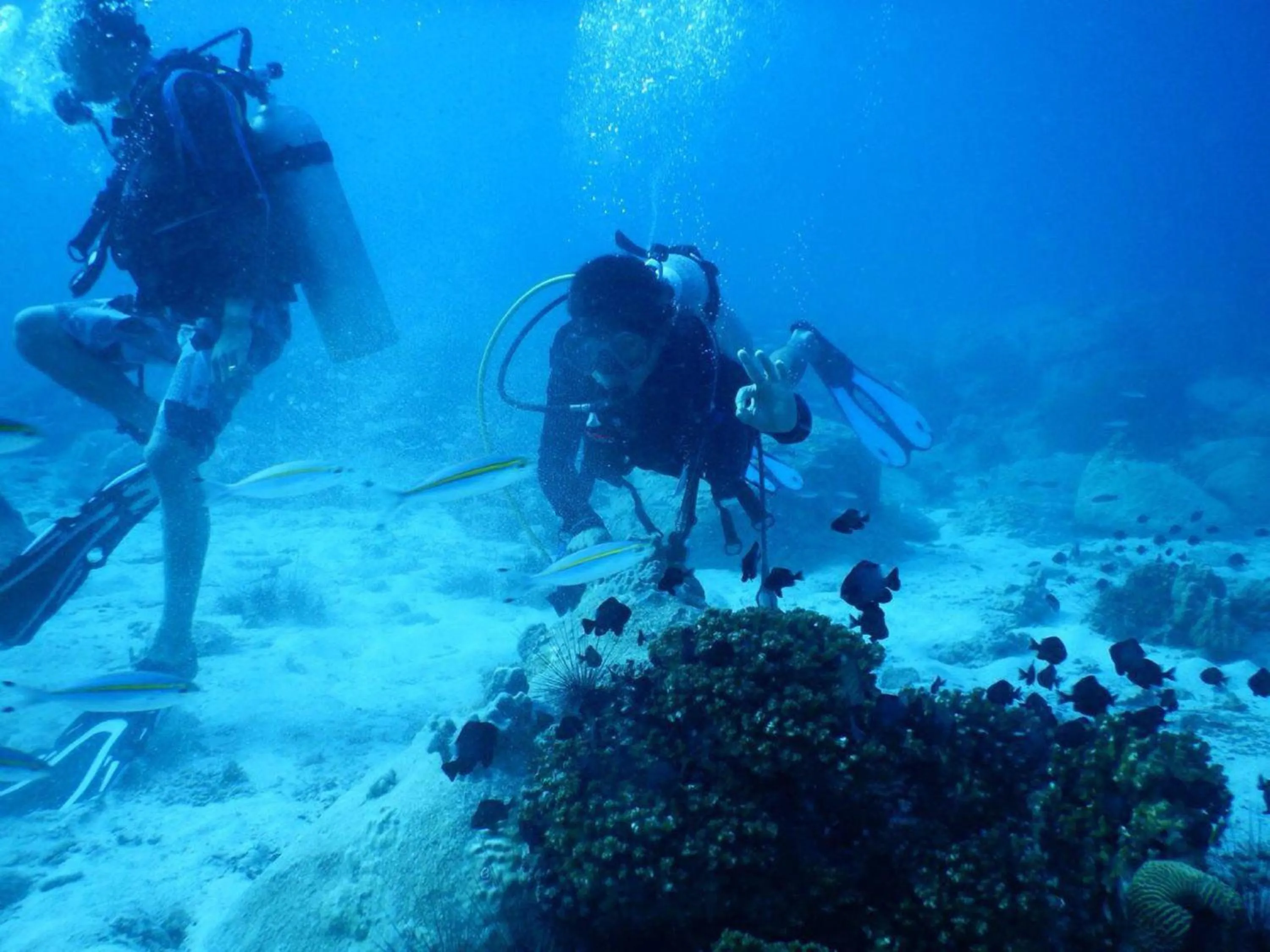 Diving in Sok San Beach Resort