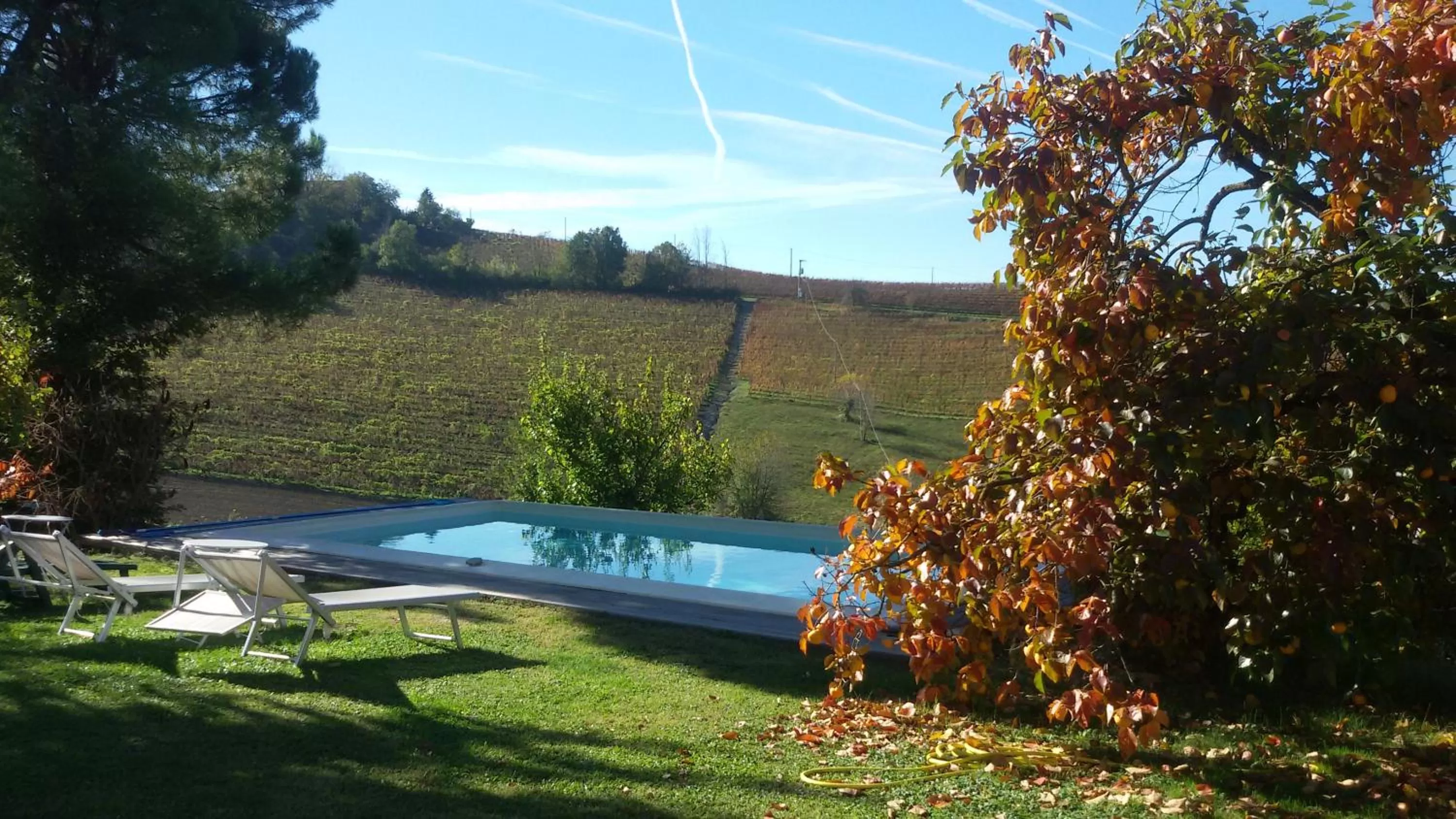 Pool view, Swimming Pool in Cascina Torello