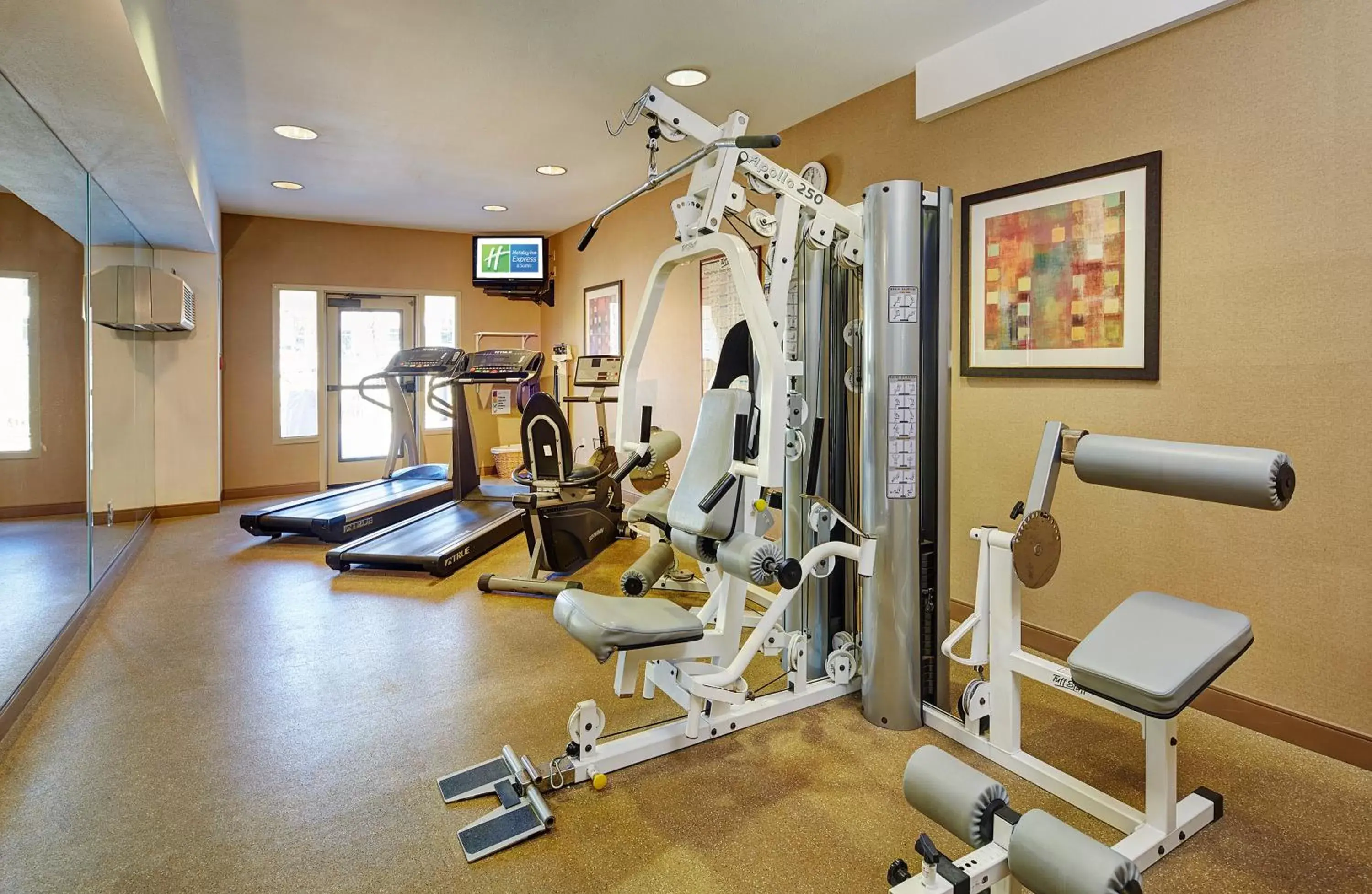 Fitness centre/facilities, Fitness Center/Facilities in Holiday Inn Express San Diego - Sorrento Valley, an IHG Hotel