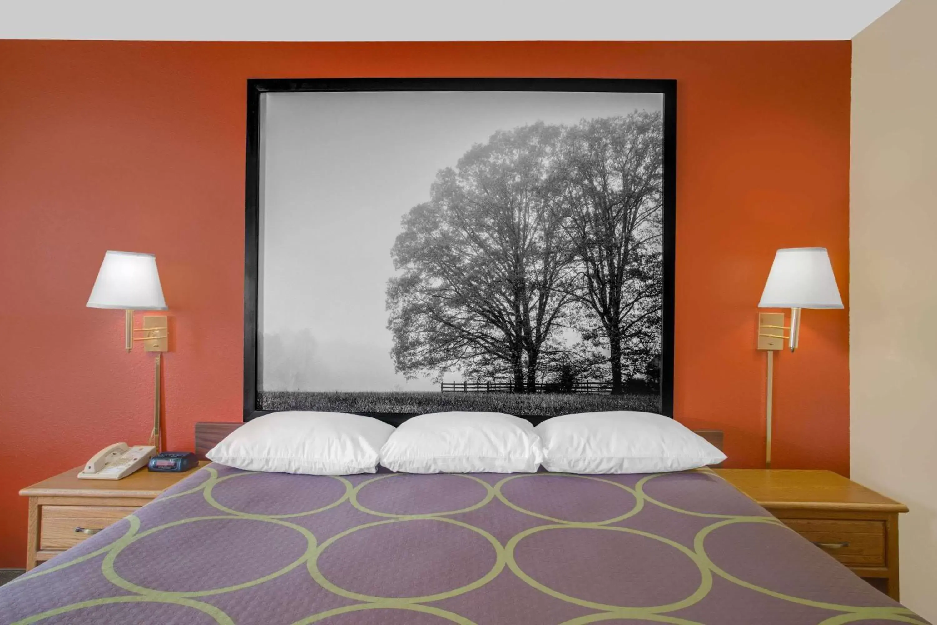 Photo of the whole room, Bed in Super 8 by Wyndham Christiansburg/Blacksburg Area Photo of the whole room, Bed in Super 8 by Wyndham Christiansburg/Blacksburg Area