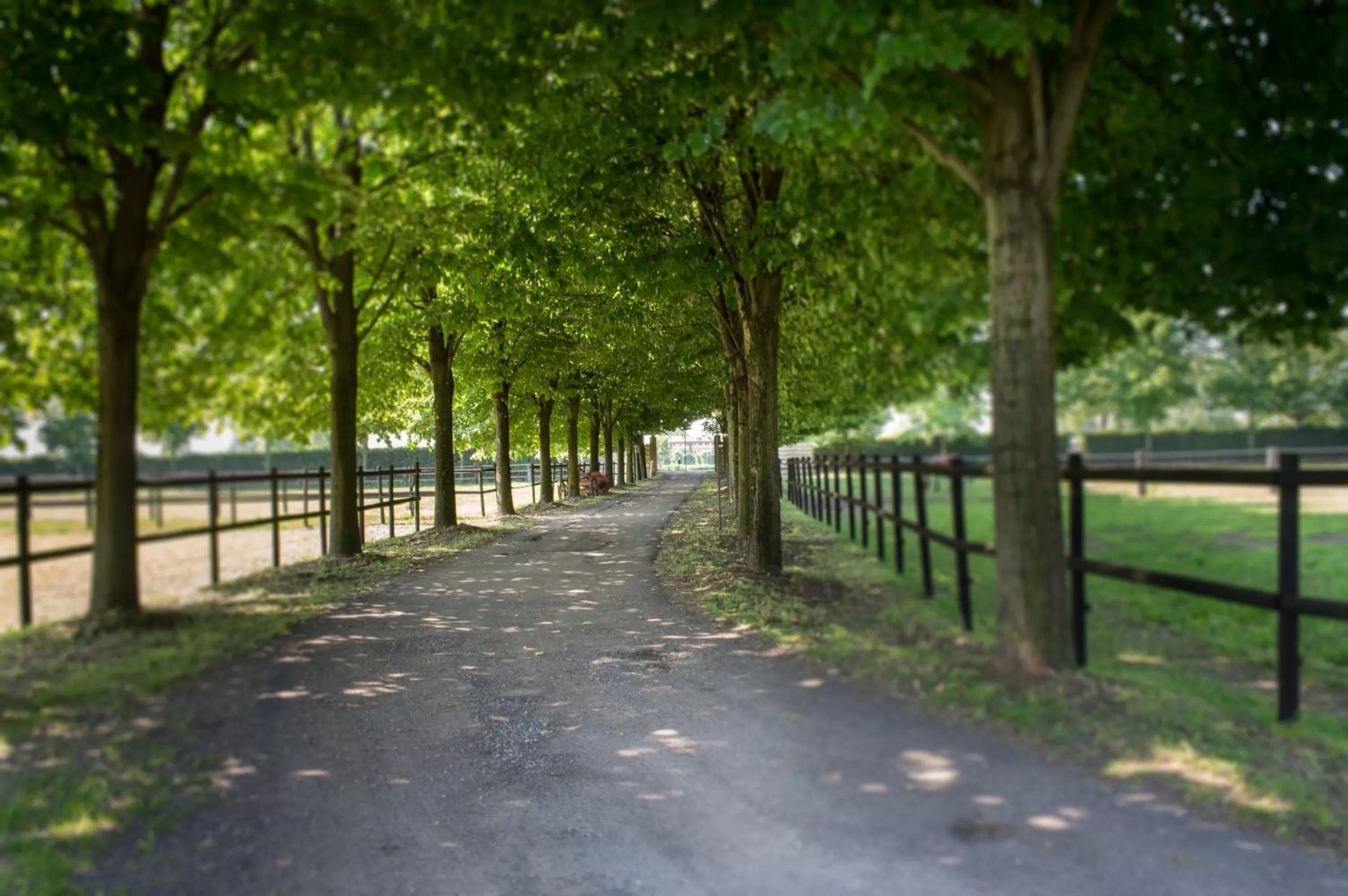 Other in San Giacomo Horses & Agriturismo