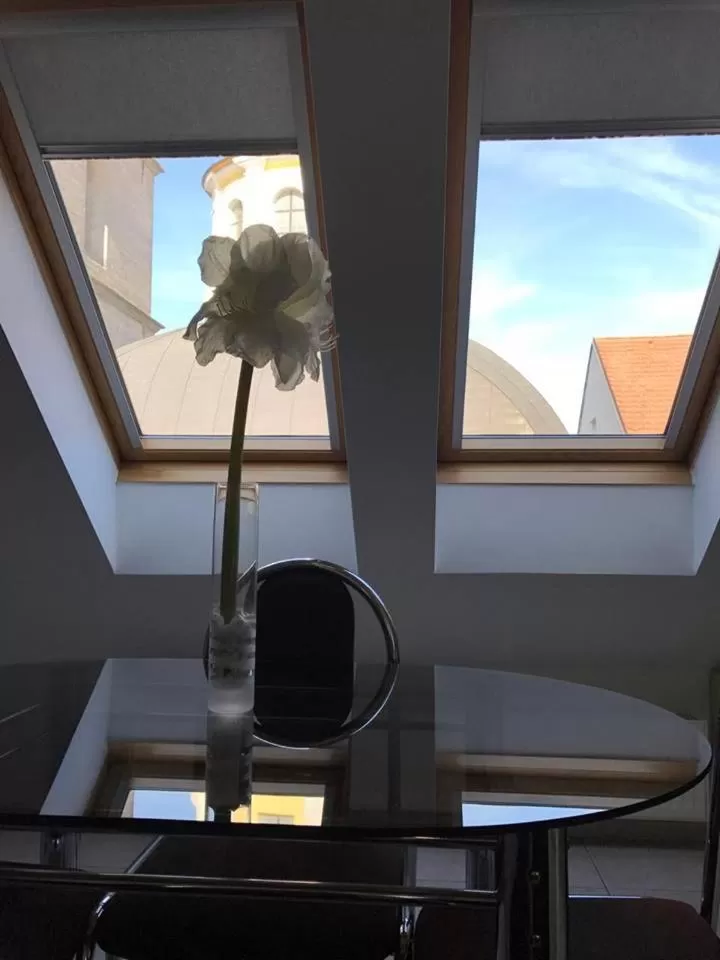 View (from property/room) in Hotel Vacek Pod Věží