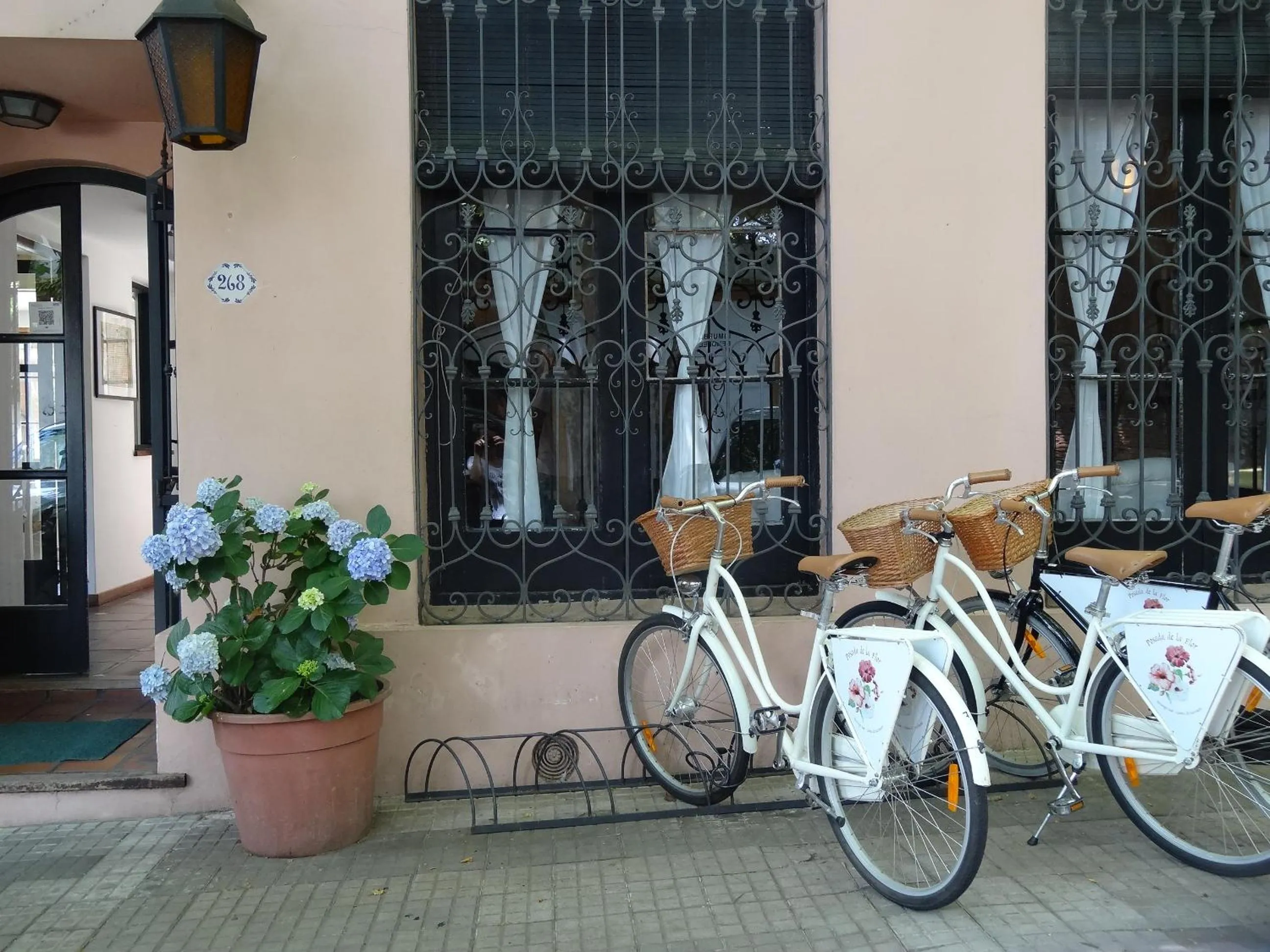 Cycling in Posada de la Flor