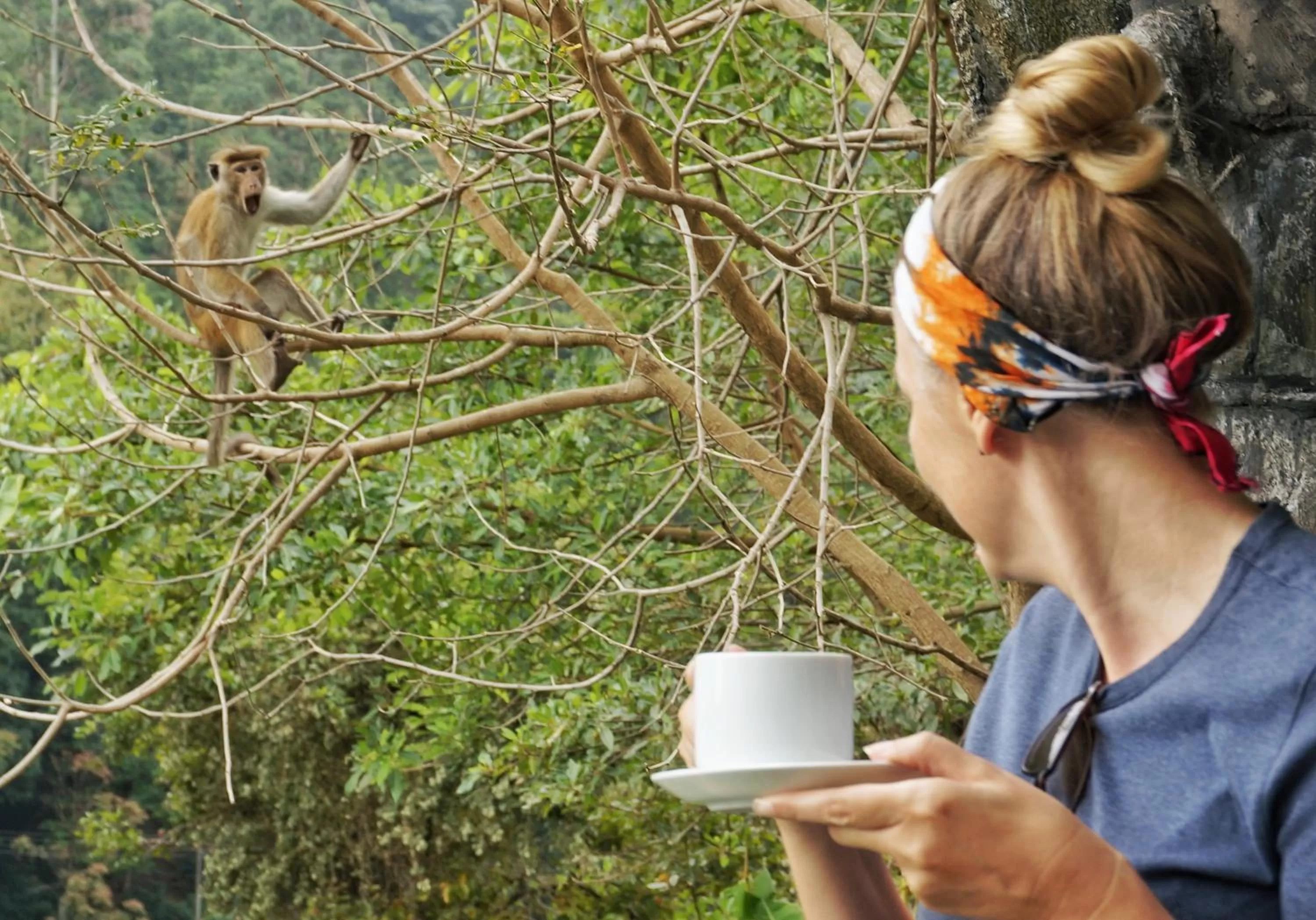 Ella Lucky Panoramic