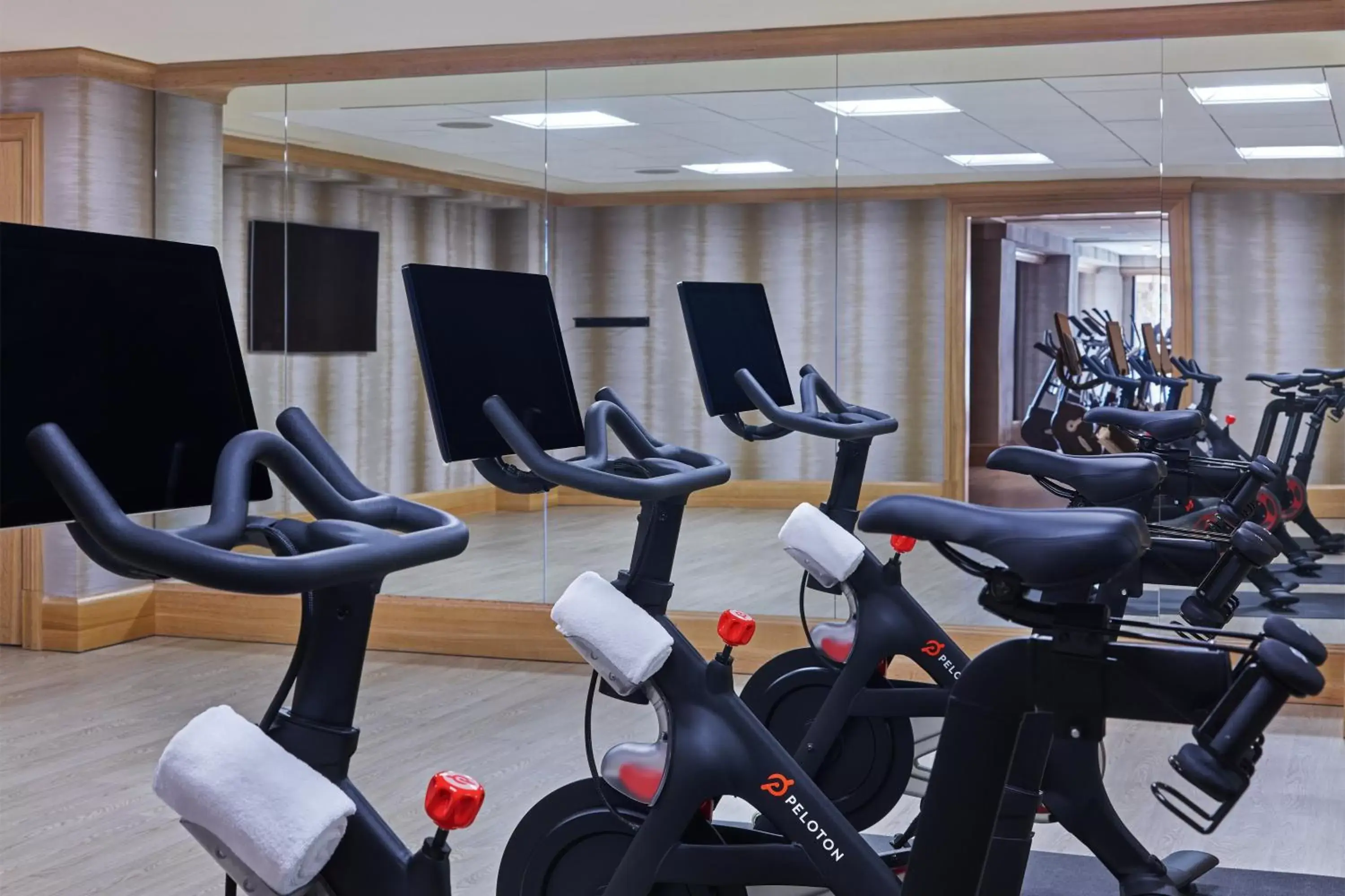 Fitness centre/facilities, Fitness Center/Facilities in St. Regis Deer Valley