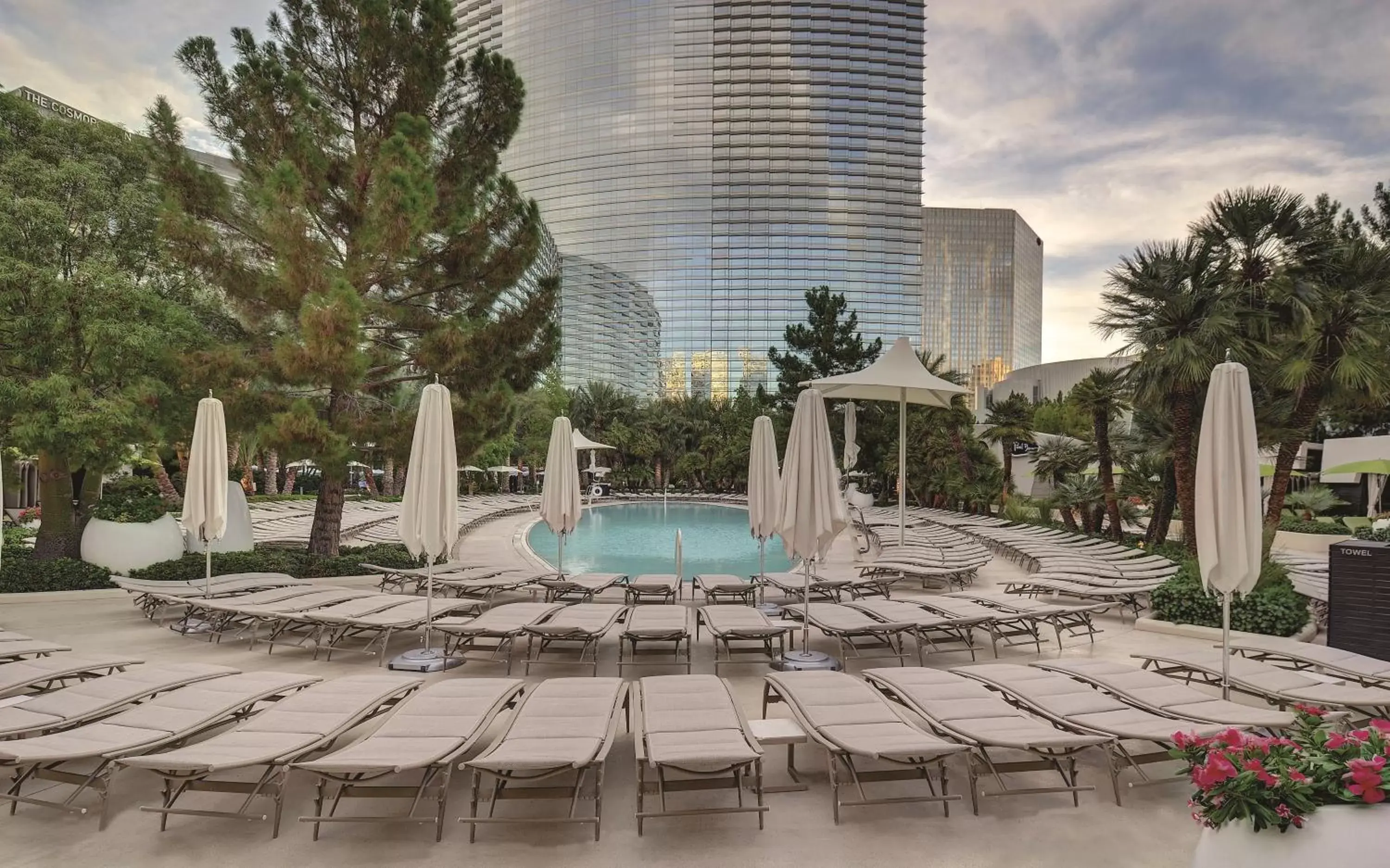 Swimming Pool in ARIA Resort & Casino