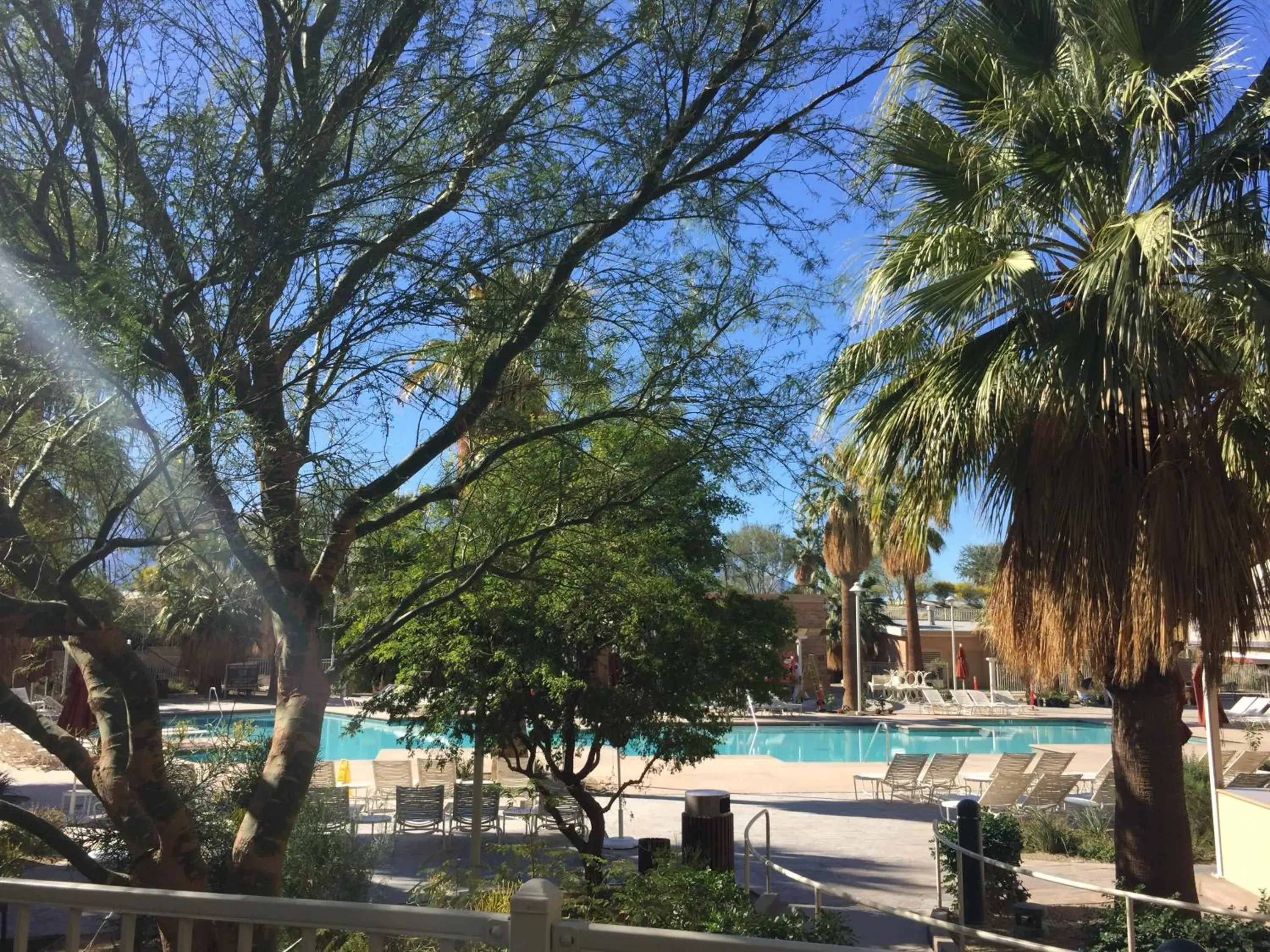 Day, Swimming Pool in Agua Caliente Casino Resort Spa