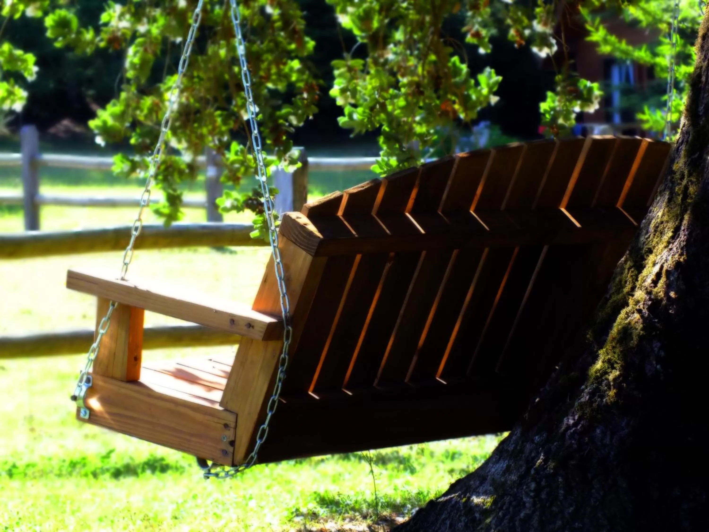 Garden in Hotel Salto del Carileufu