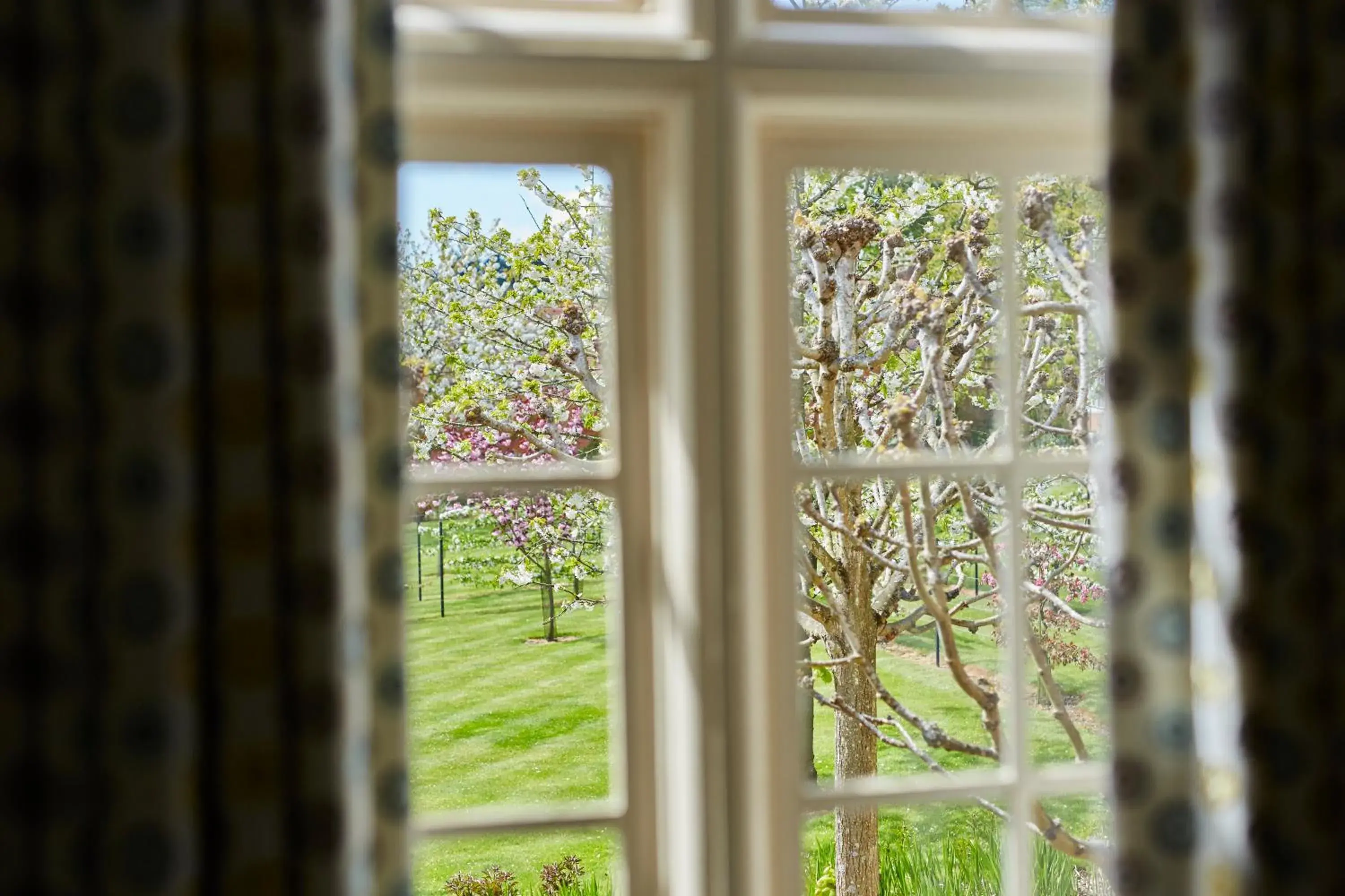 Garden view in Tylney Hall Hotel