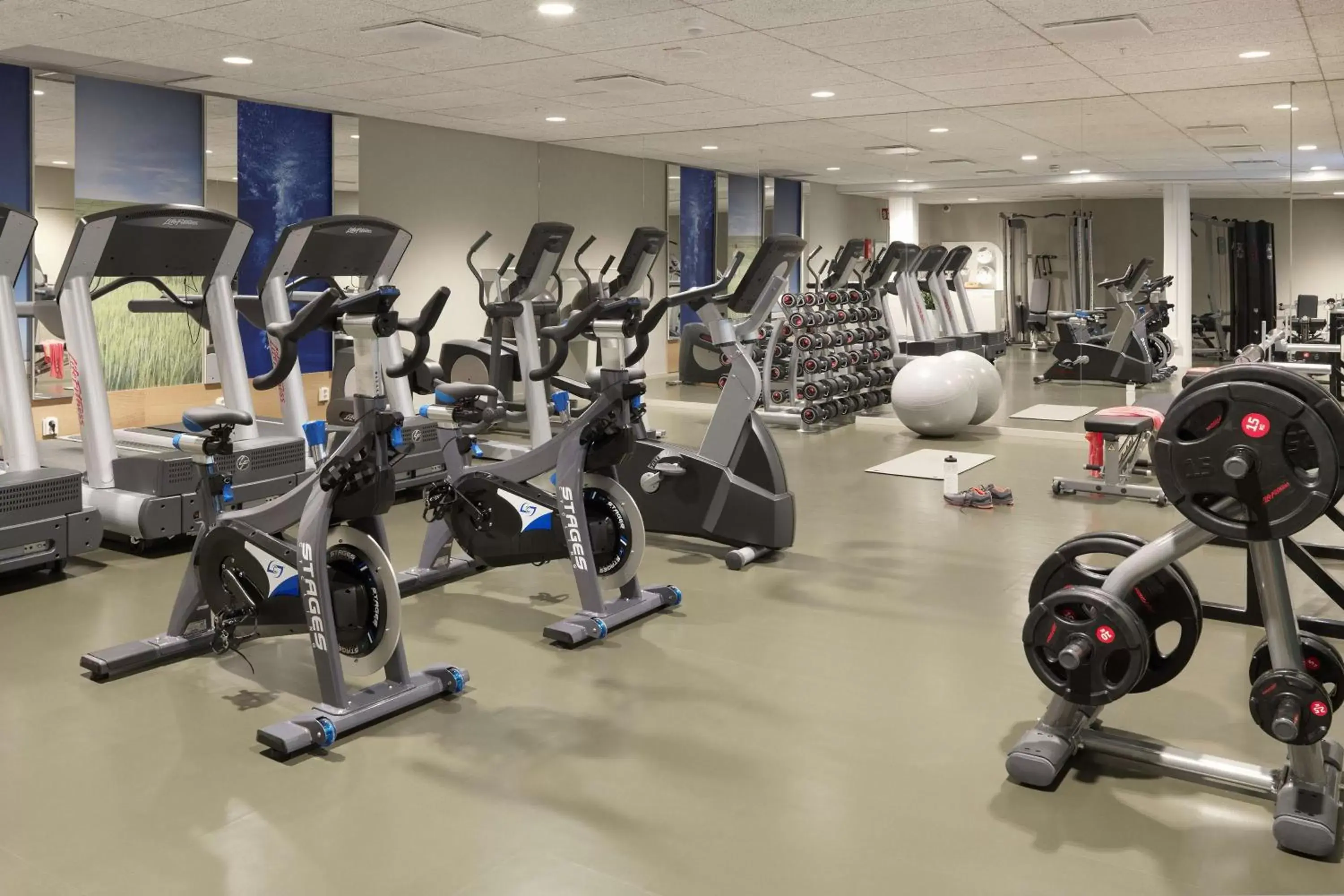 Activities, Fitness Center/Facilities in Scandic Continental