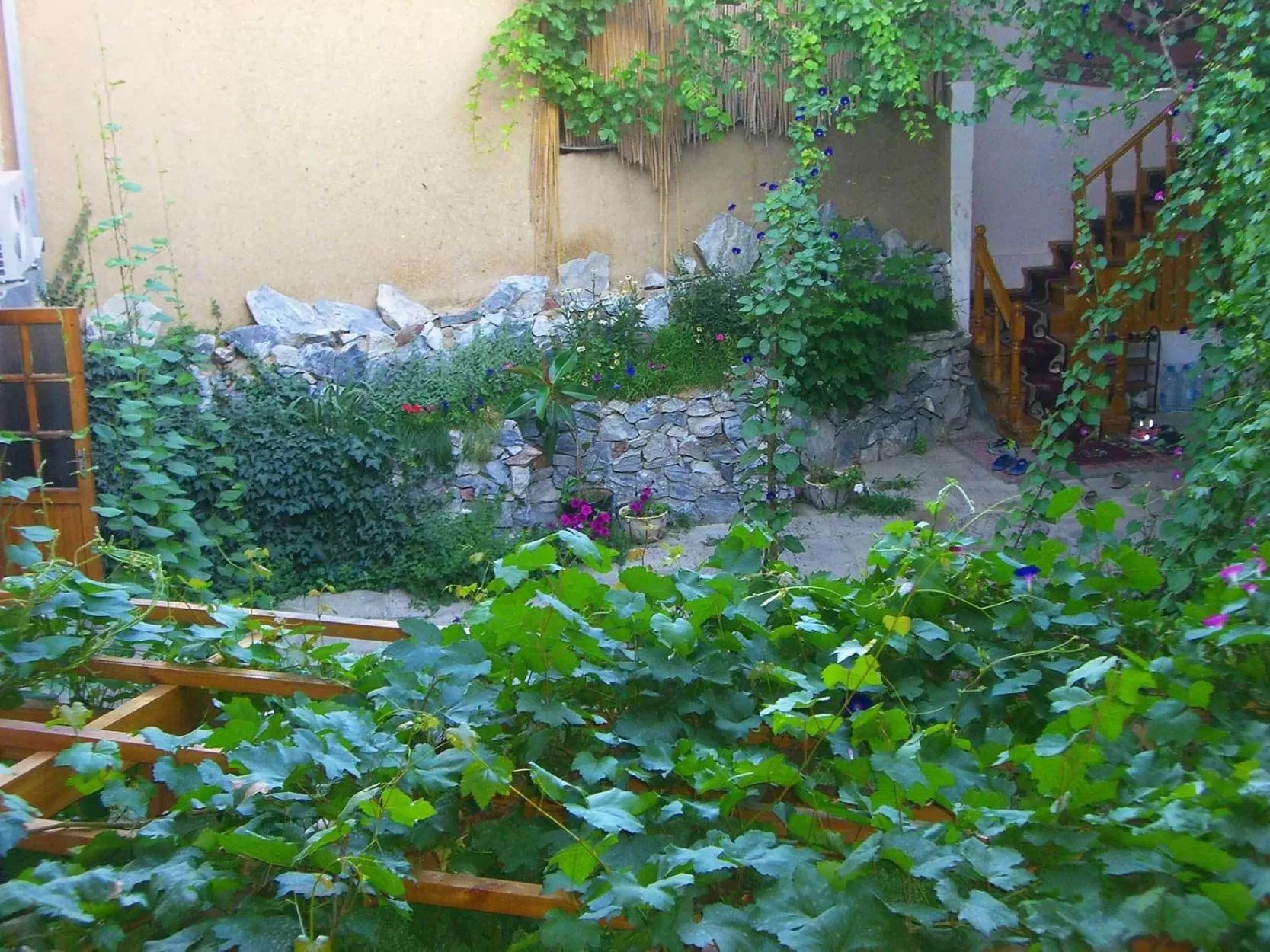 Facade/entrance in Jahongir
