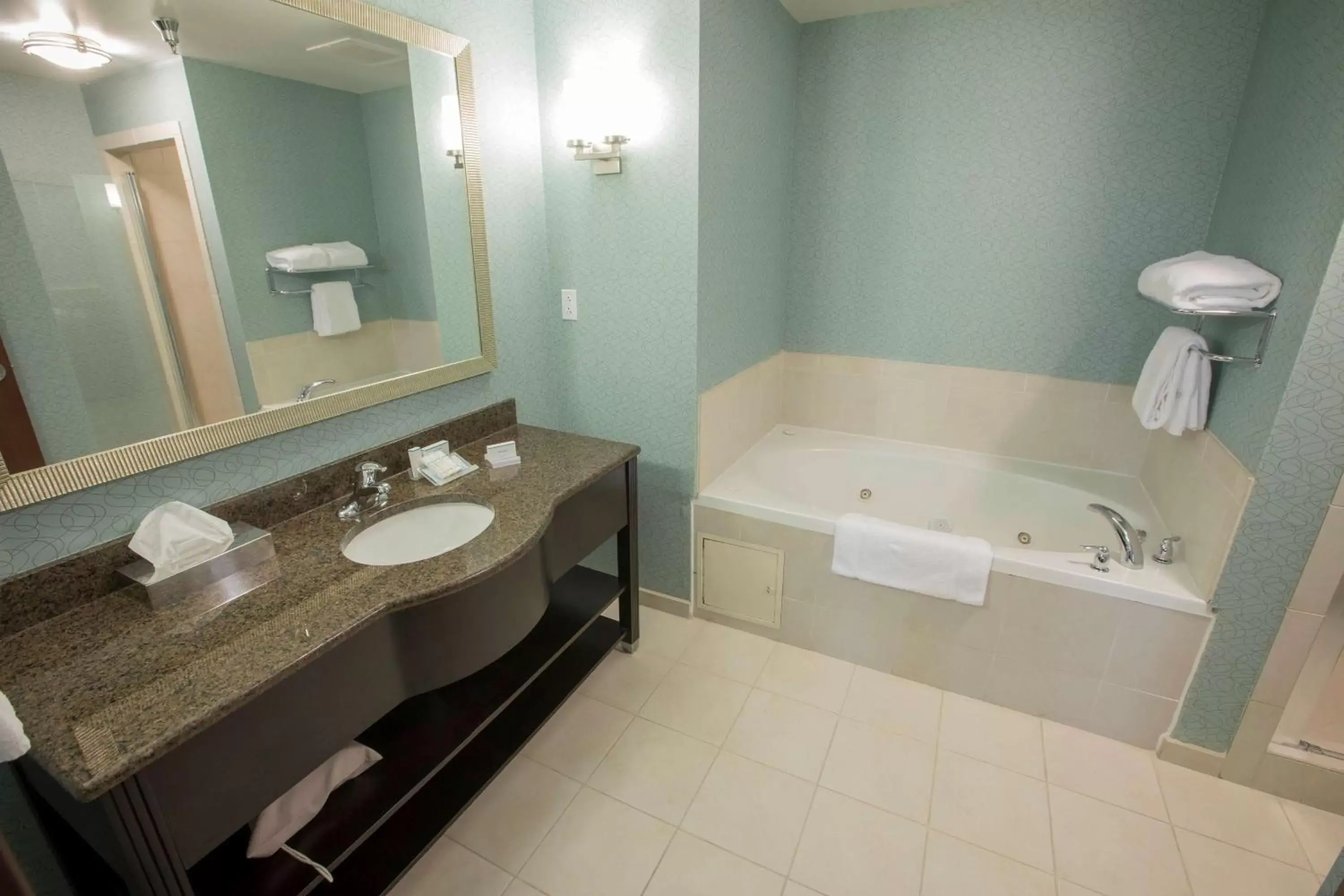 Bathroom in Hilton Garden Inn Atlanta South-McDonough