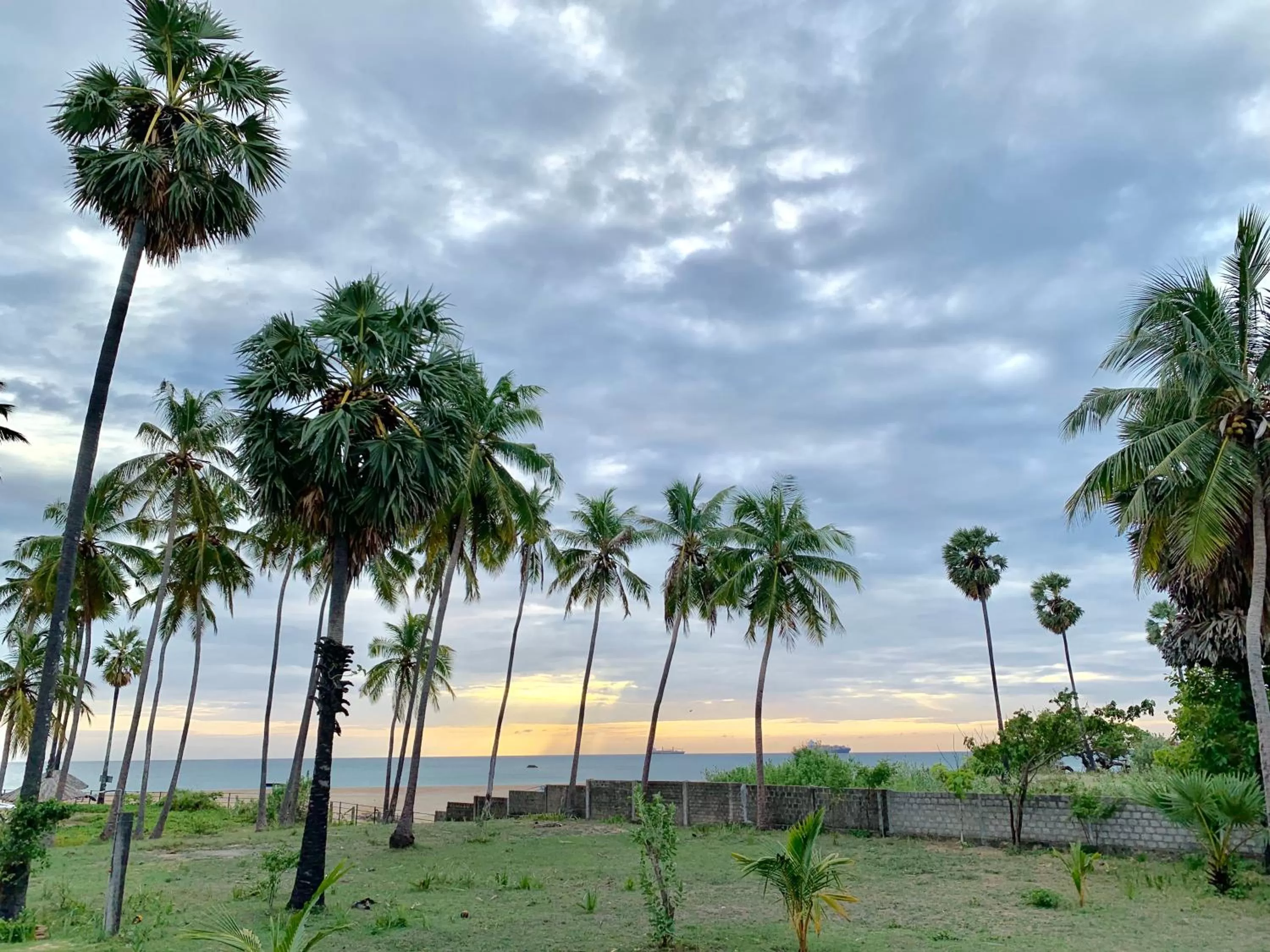 Garden in 108 Palms Beach Resort