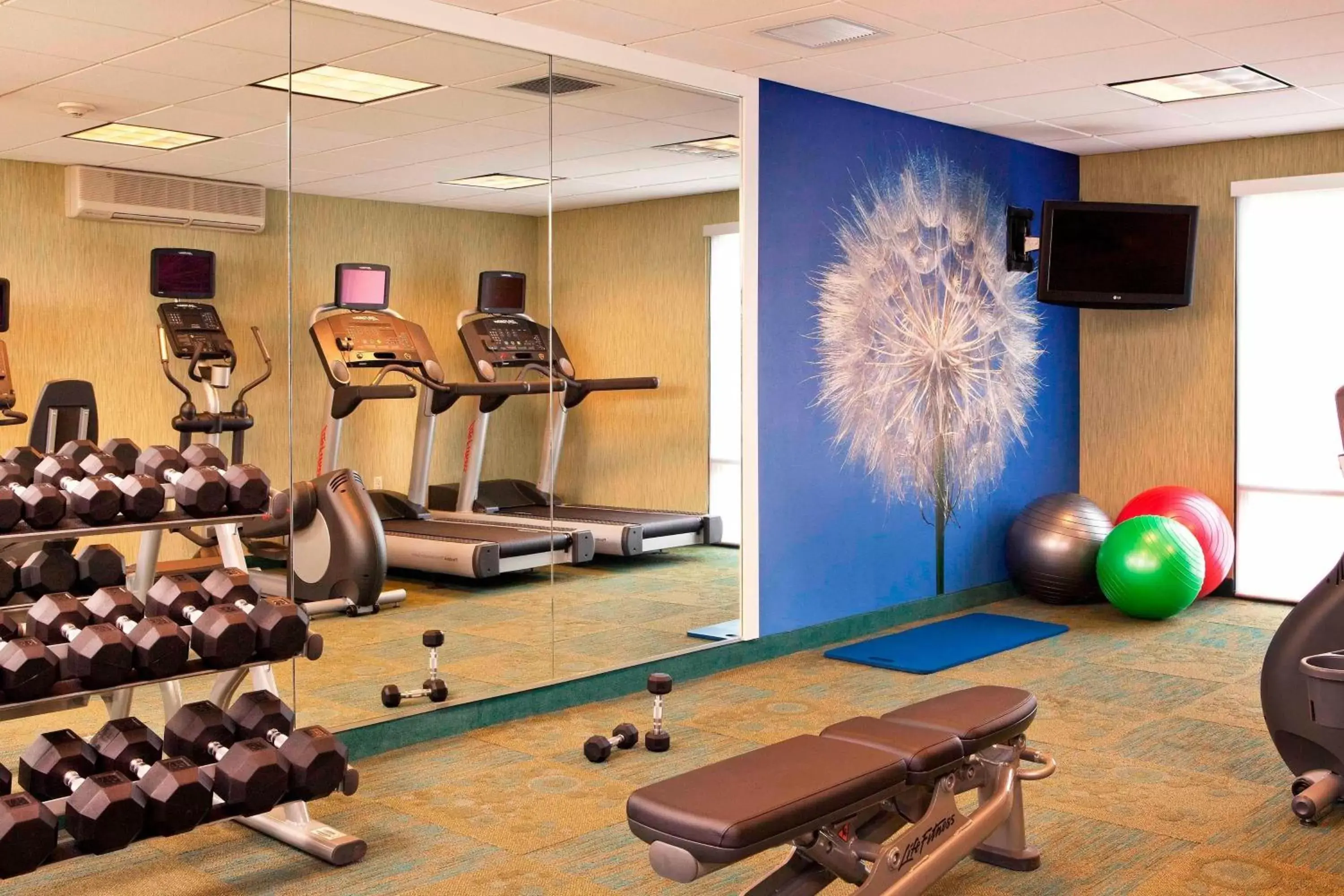 Fitness centre/facilities, Fitness Center/Facilities in SpringHill Suites Boston Peabody