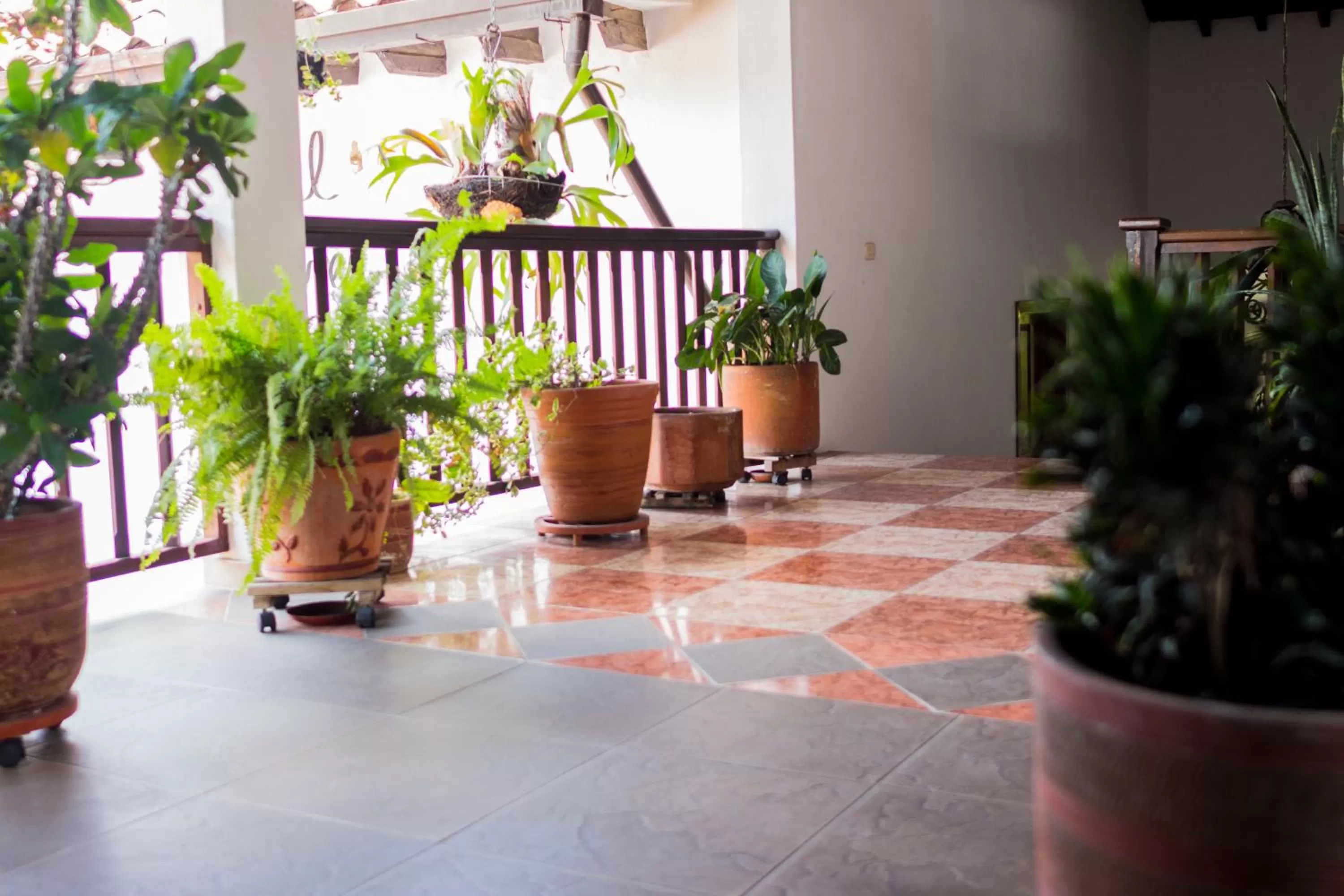 Patio in Hotel Las Nieves