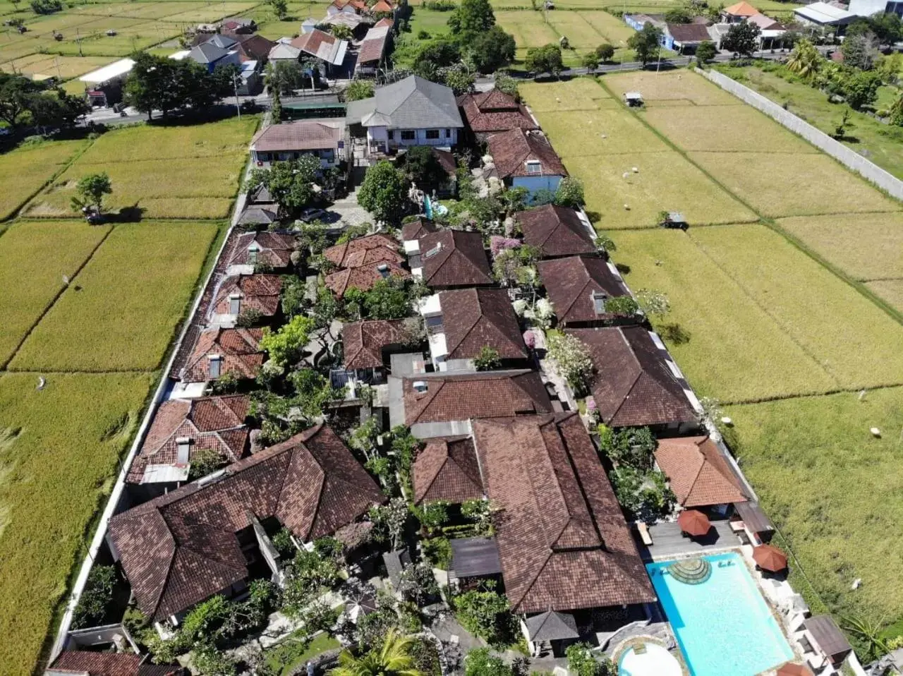Property building in Bali Taman Beach Resort & Spa Lovina Property building in Bali Taman Beach Resort & Spa Lovina