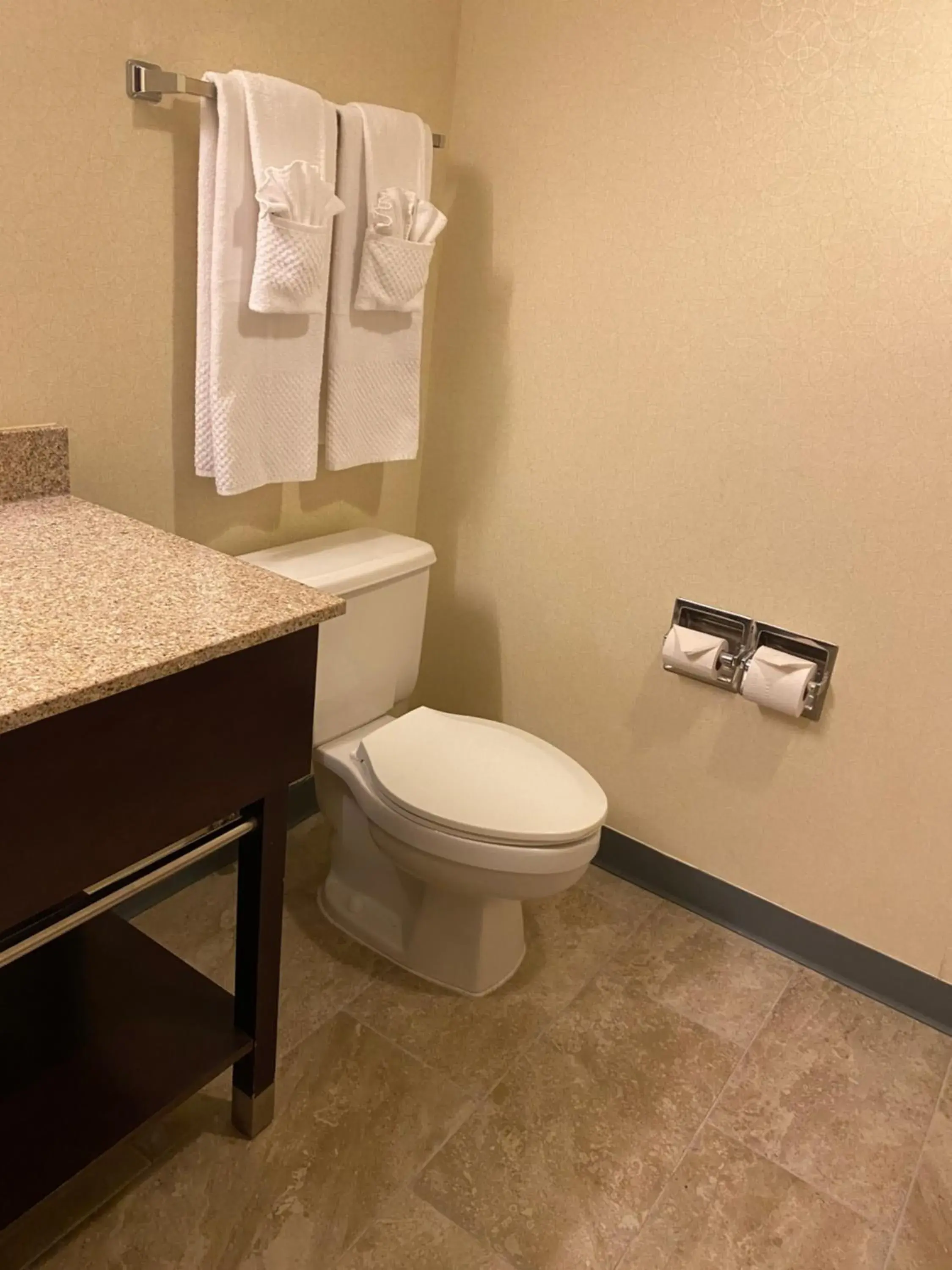 Bathroom in Wyndham Garden Grand Rapids Airport