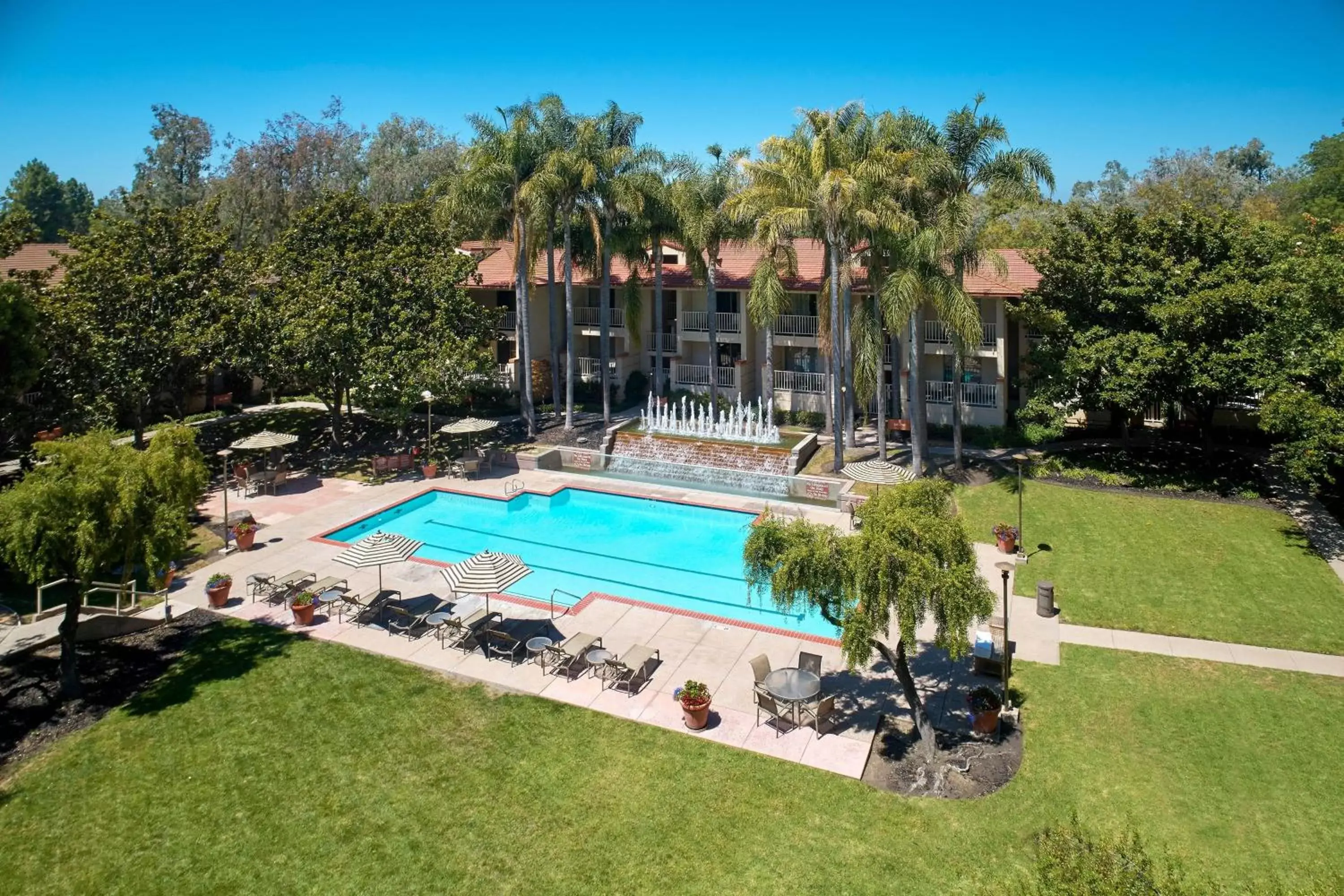 Swimming pool, Pool View in Sheraton San Jose