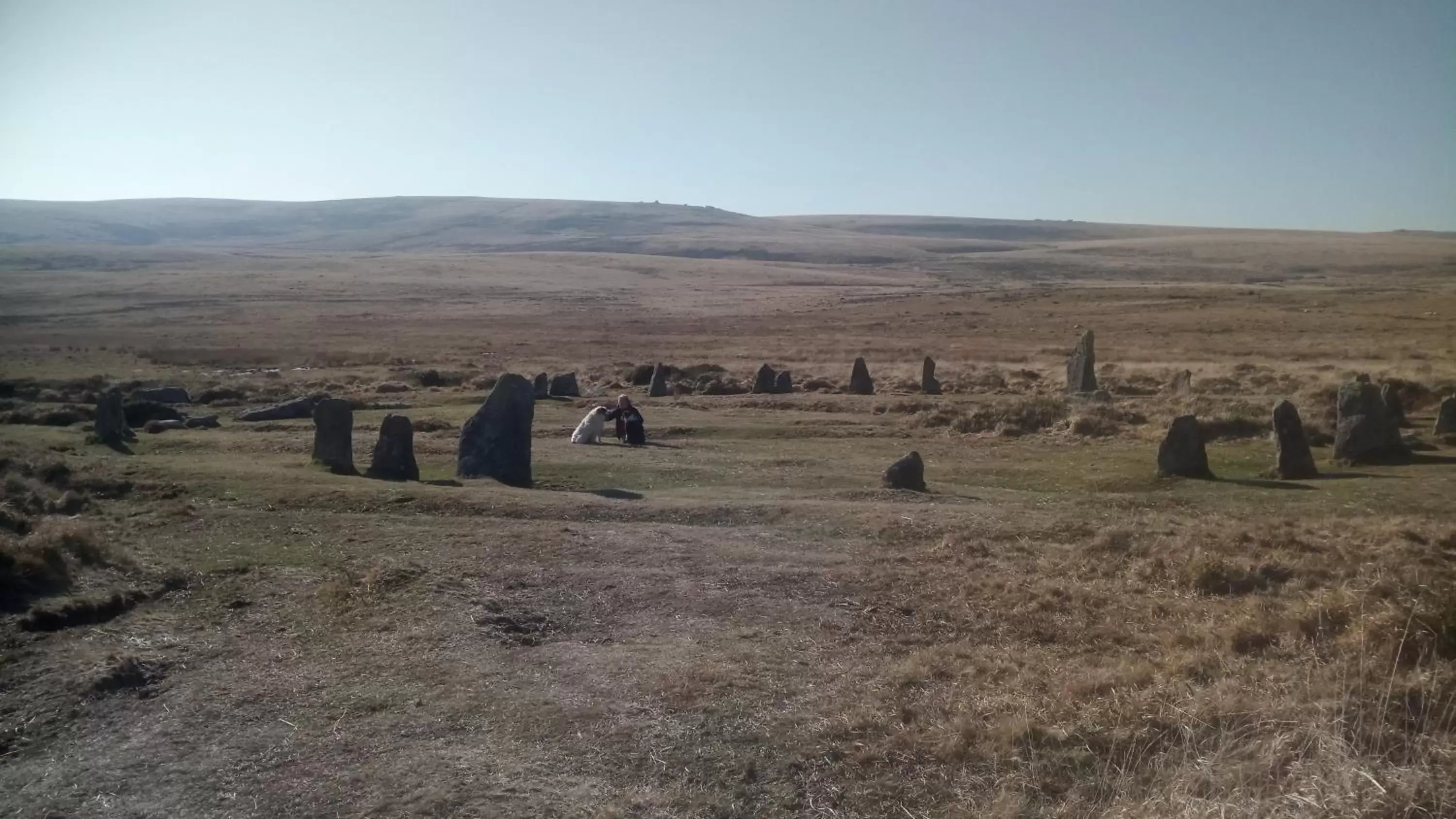 Natural landscape in Claw House