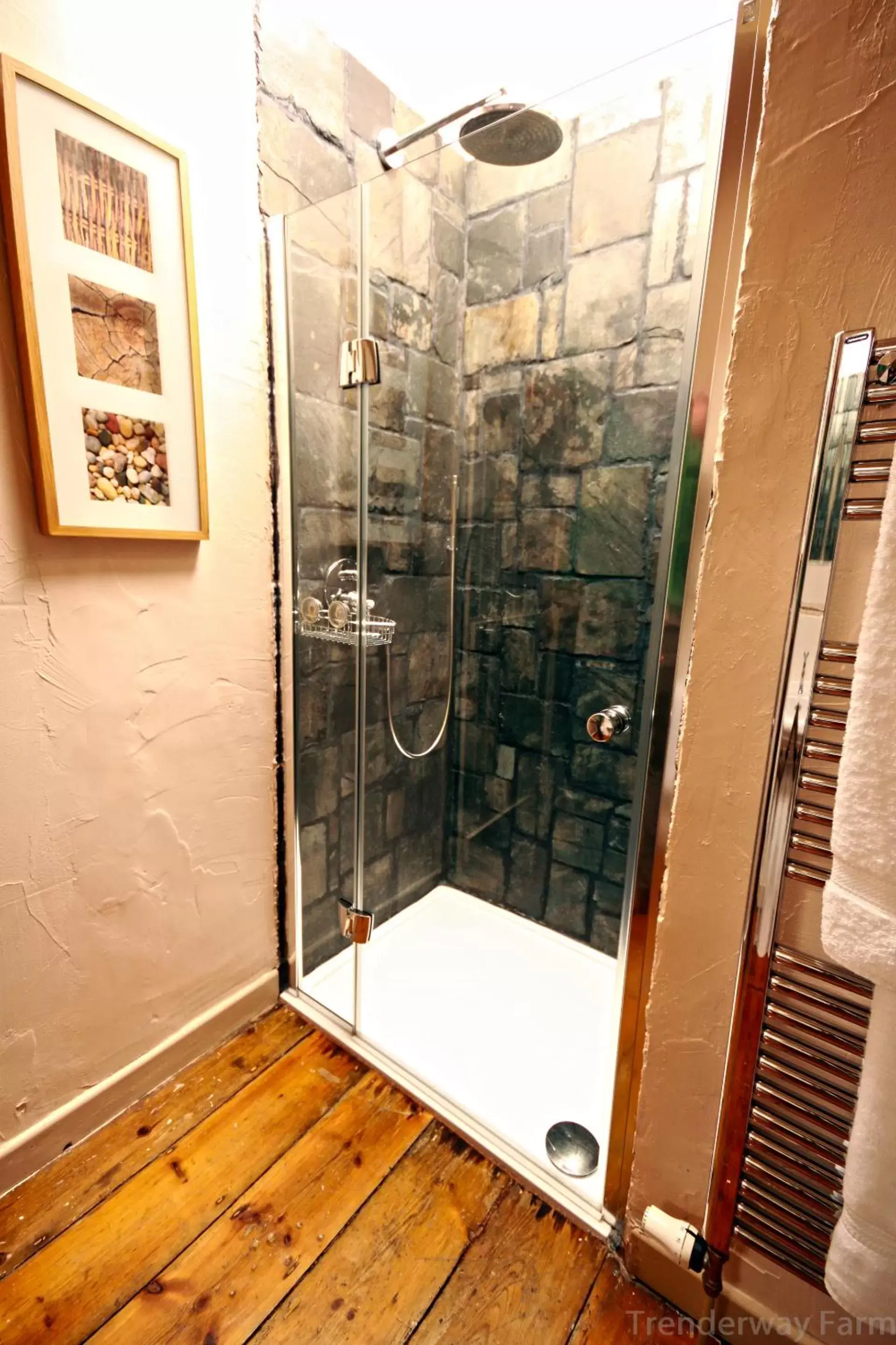 Shower, Bathroom in Trenderway Farm
