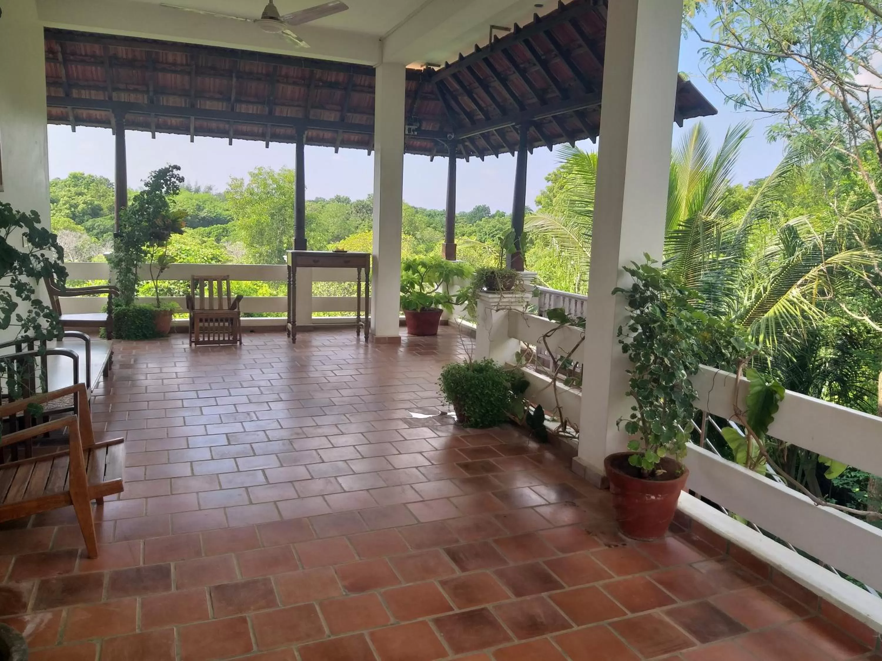 Balcony/Terrace in Green's Guest House