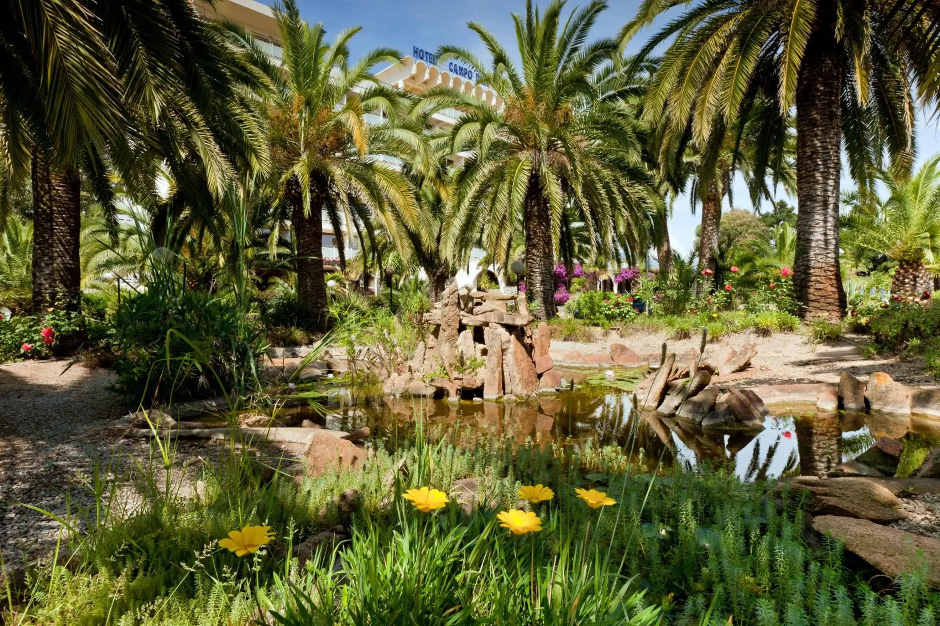 View (from property/room), Garden in Hôtel Campo Dell'oro