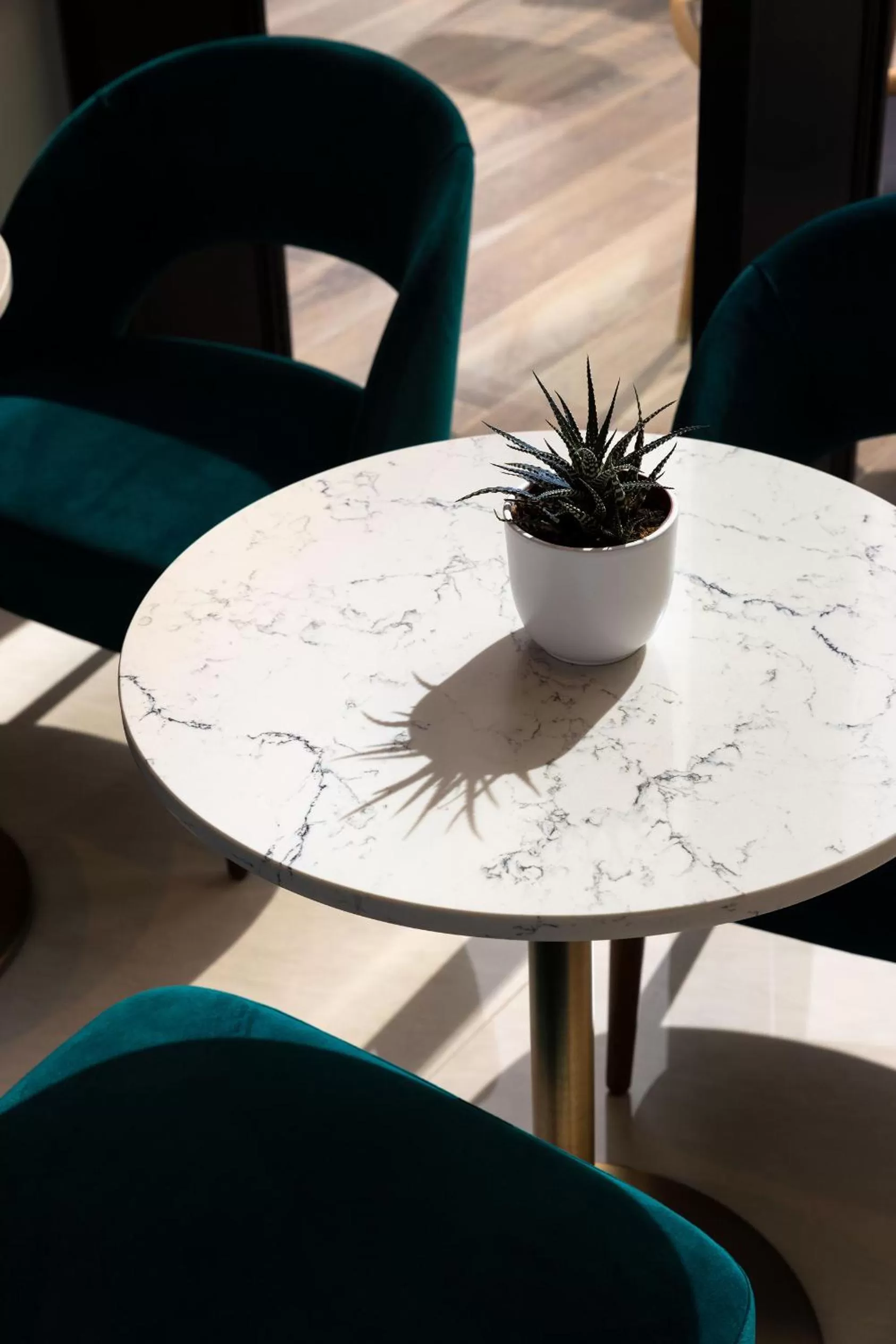 Restaurant/places to eat in Sheraton Nice