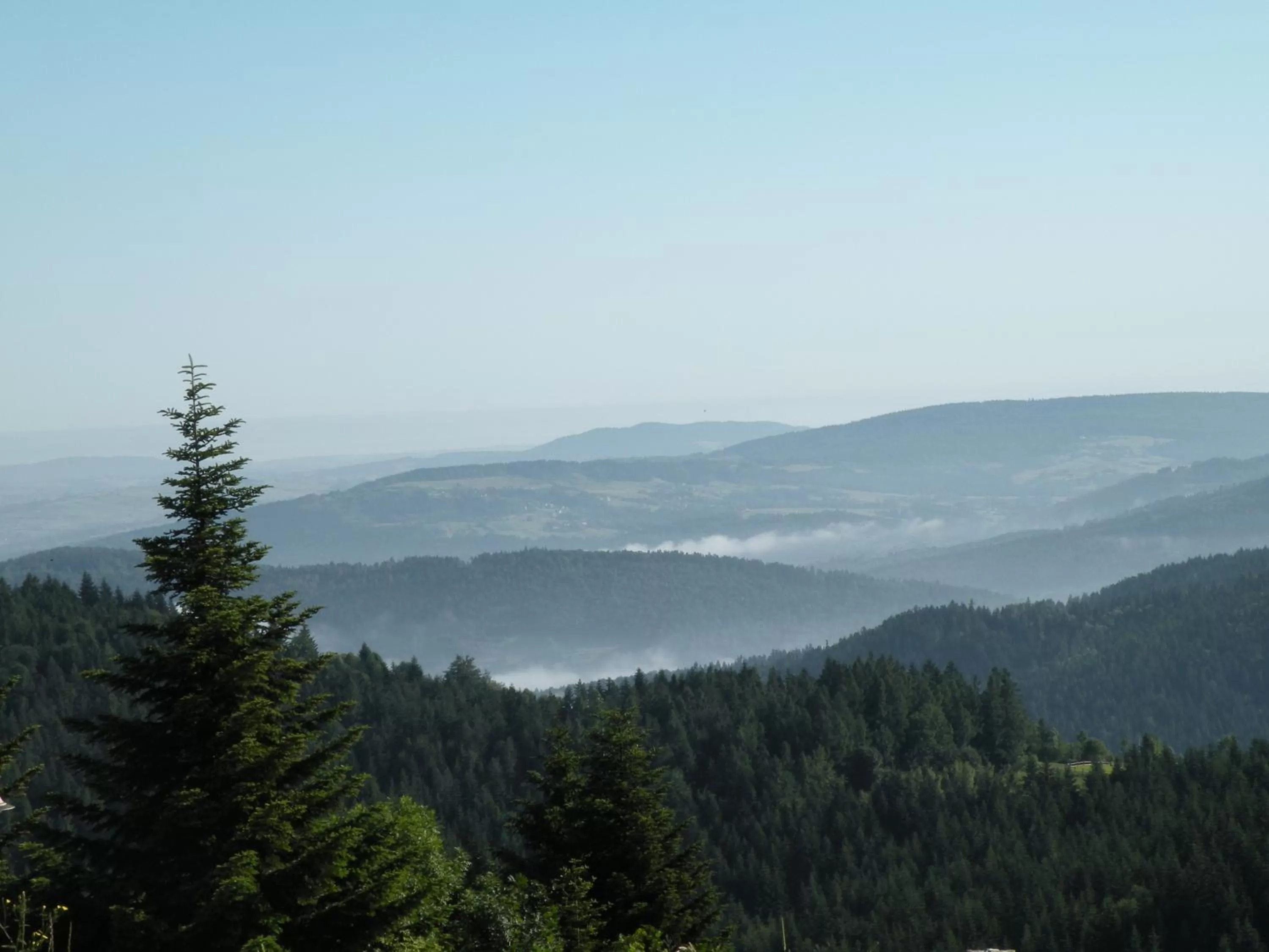 View (from property/room) in Hotel Beskidzki Raj Medical SPA