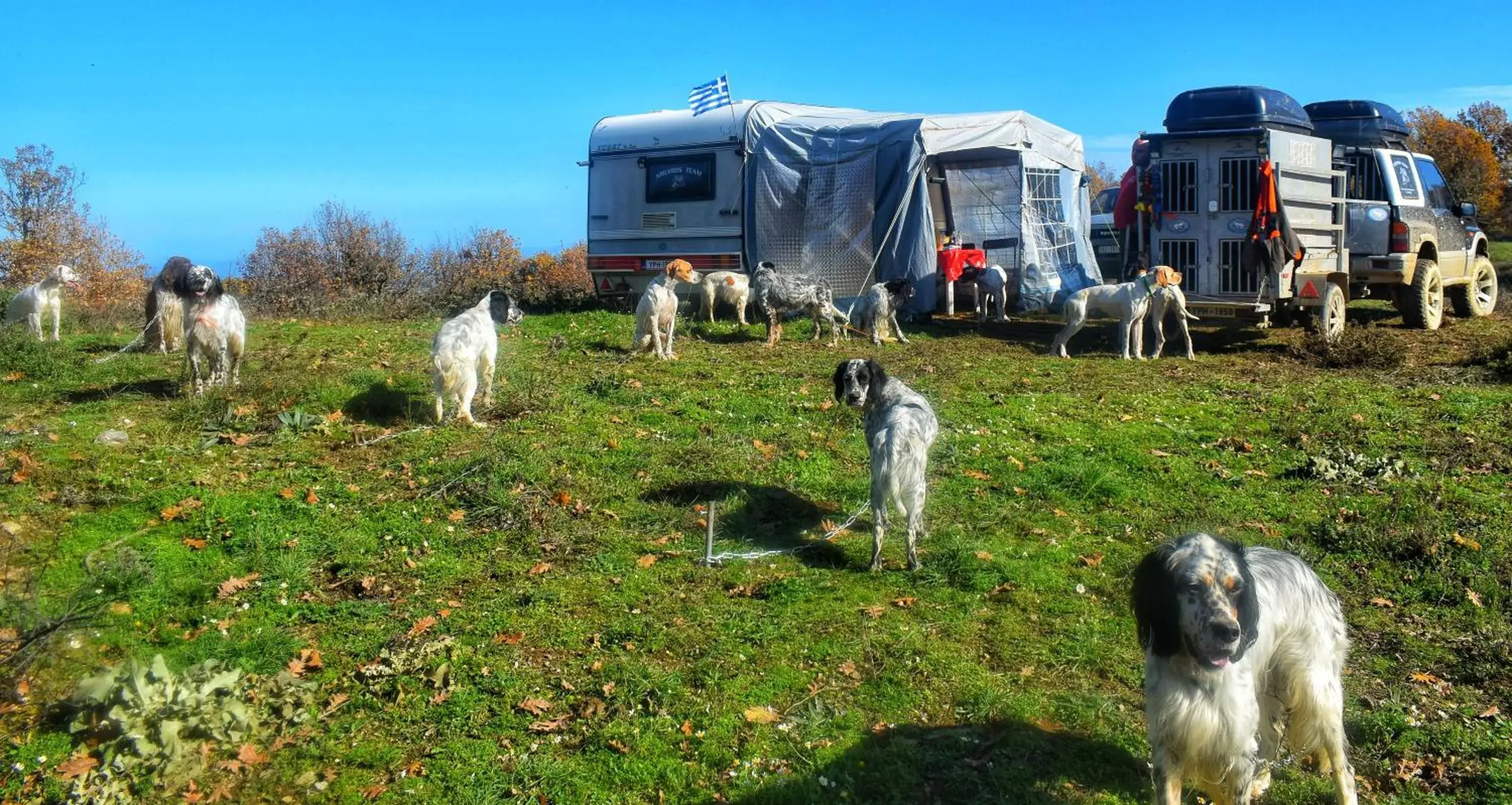 Day, Pets in Ilia Mare