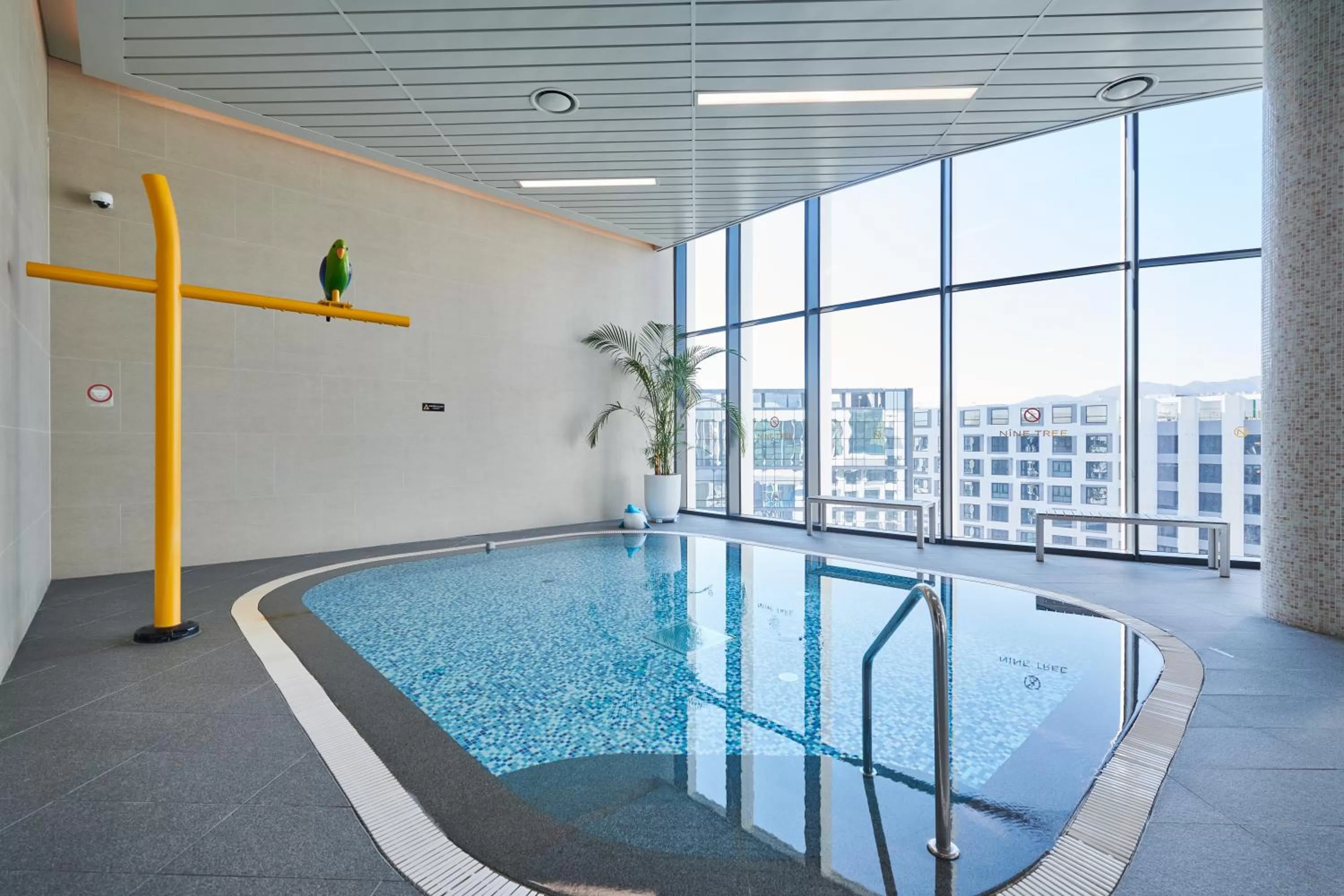 Swimming pool in Nine Tree by Parnas Seoul Pangyo