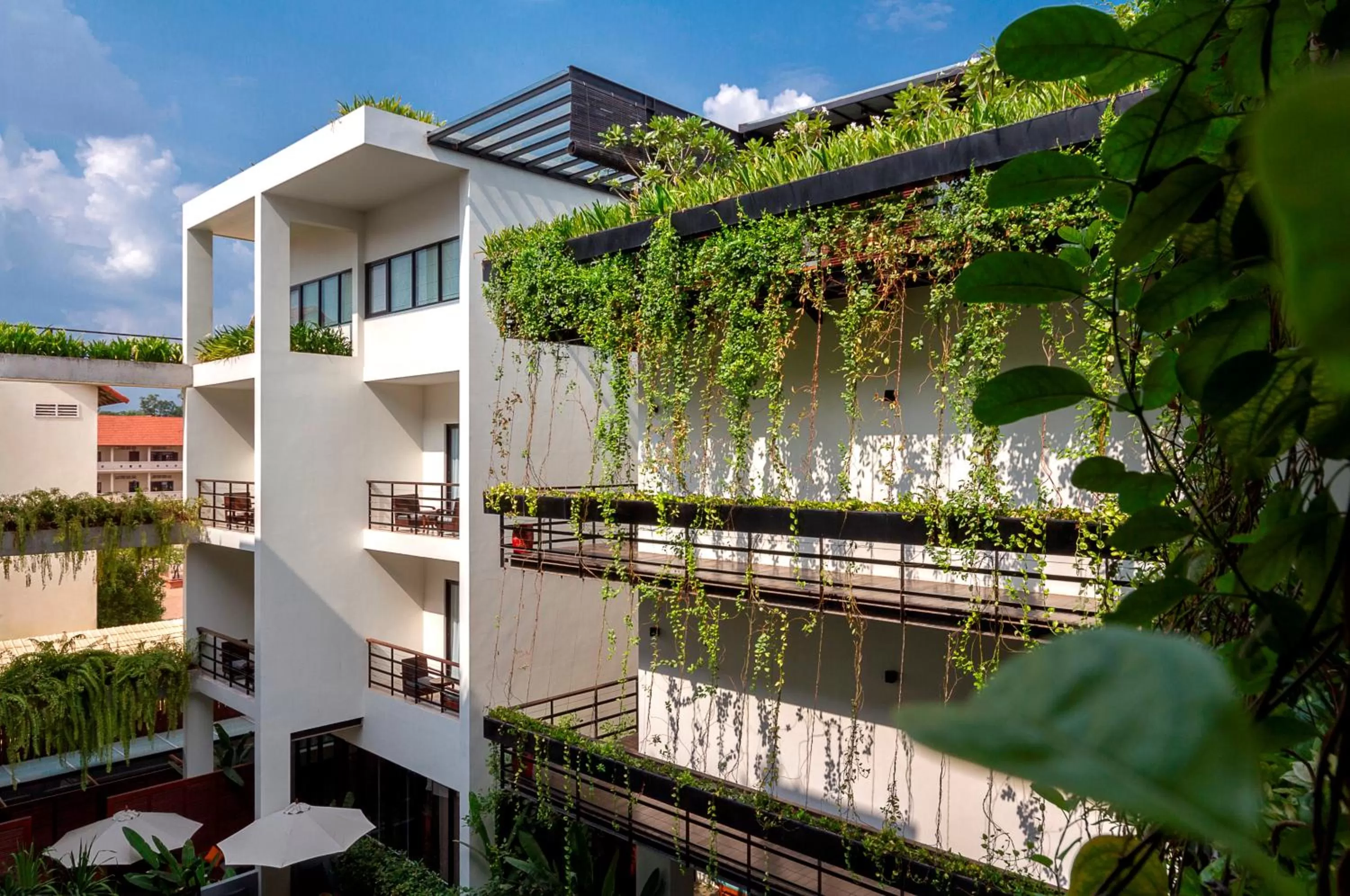 Area and facilities in The Aviary Hotel