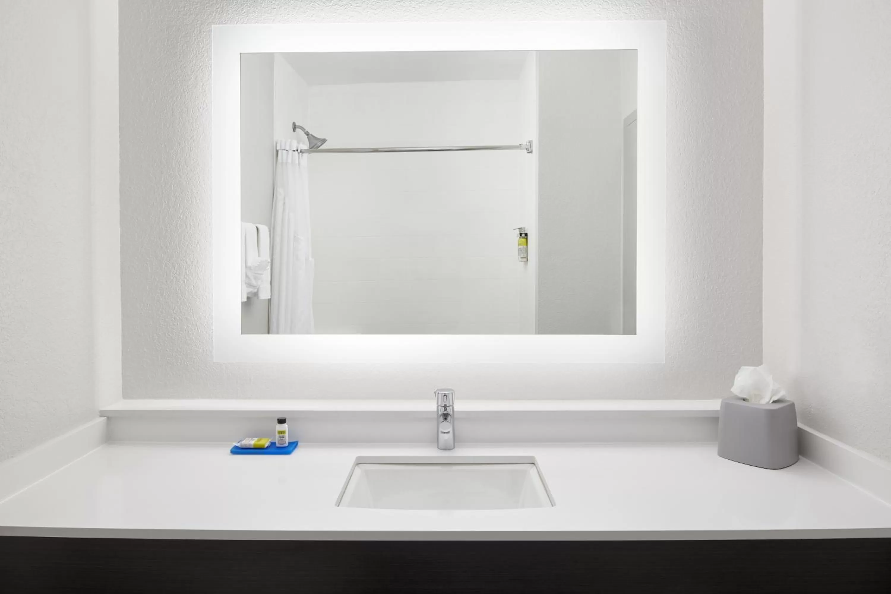 Bathroom in Holiday Inn Express Hotel & Suites Port Richey by IHG