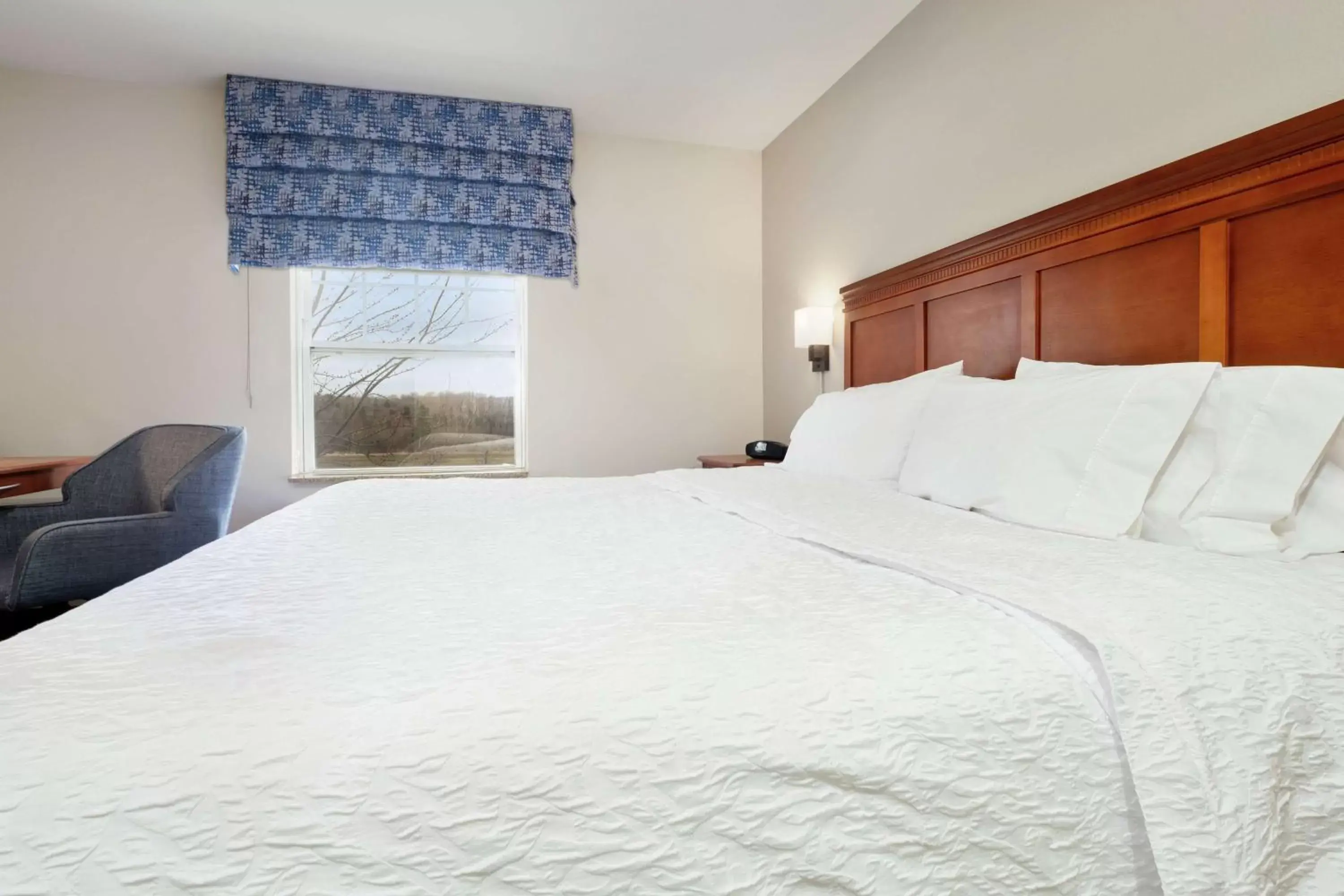 Bedroom, Bed in Hampton Inn & Suites Rockland