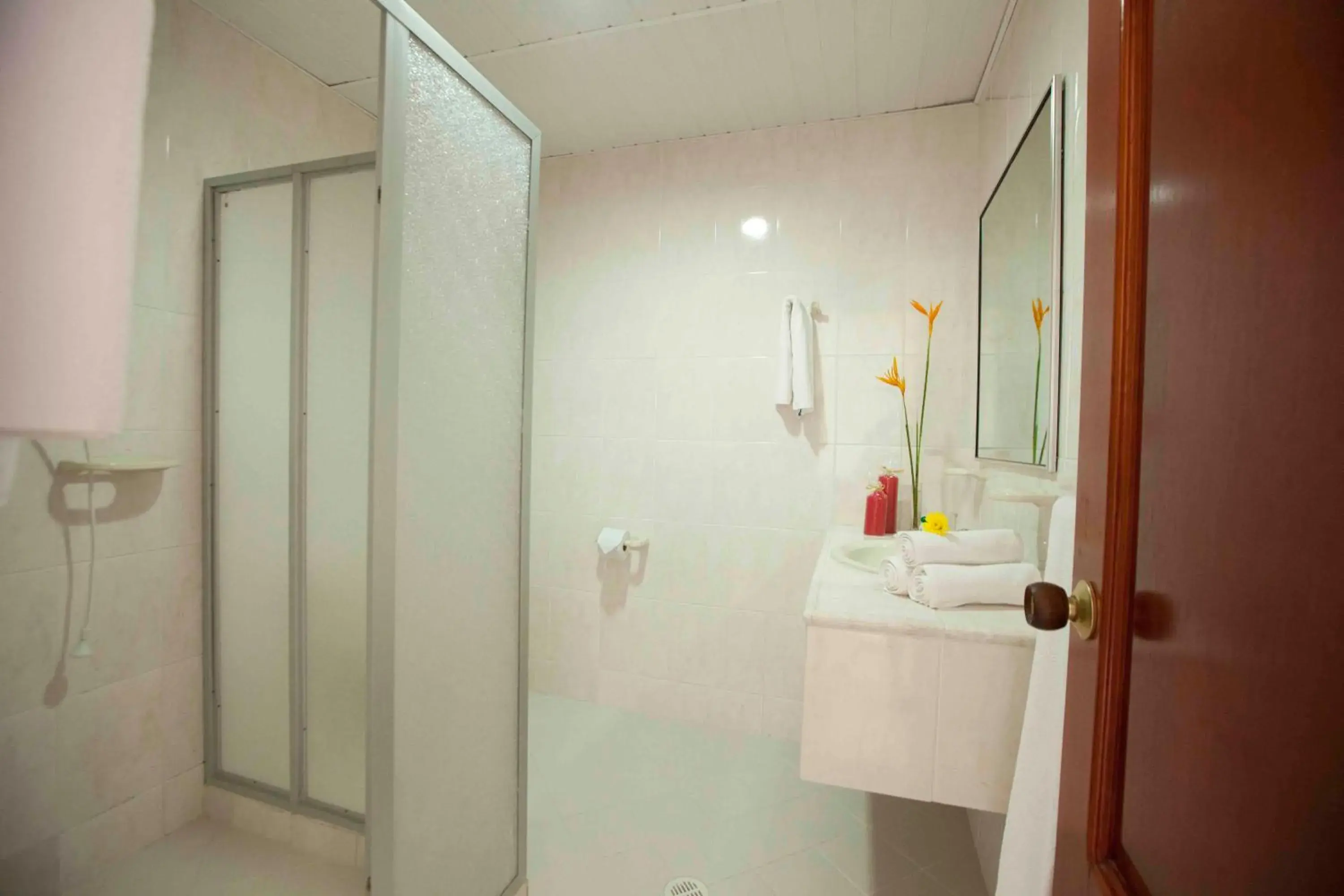 Shower, Bathroom in Hotel Anaconda