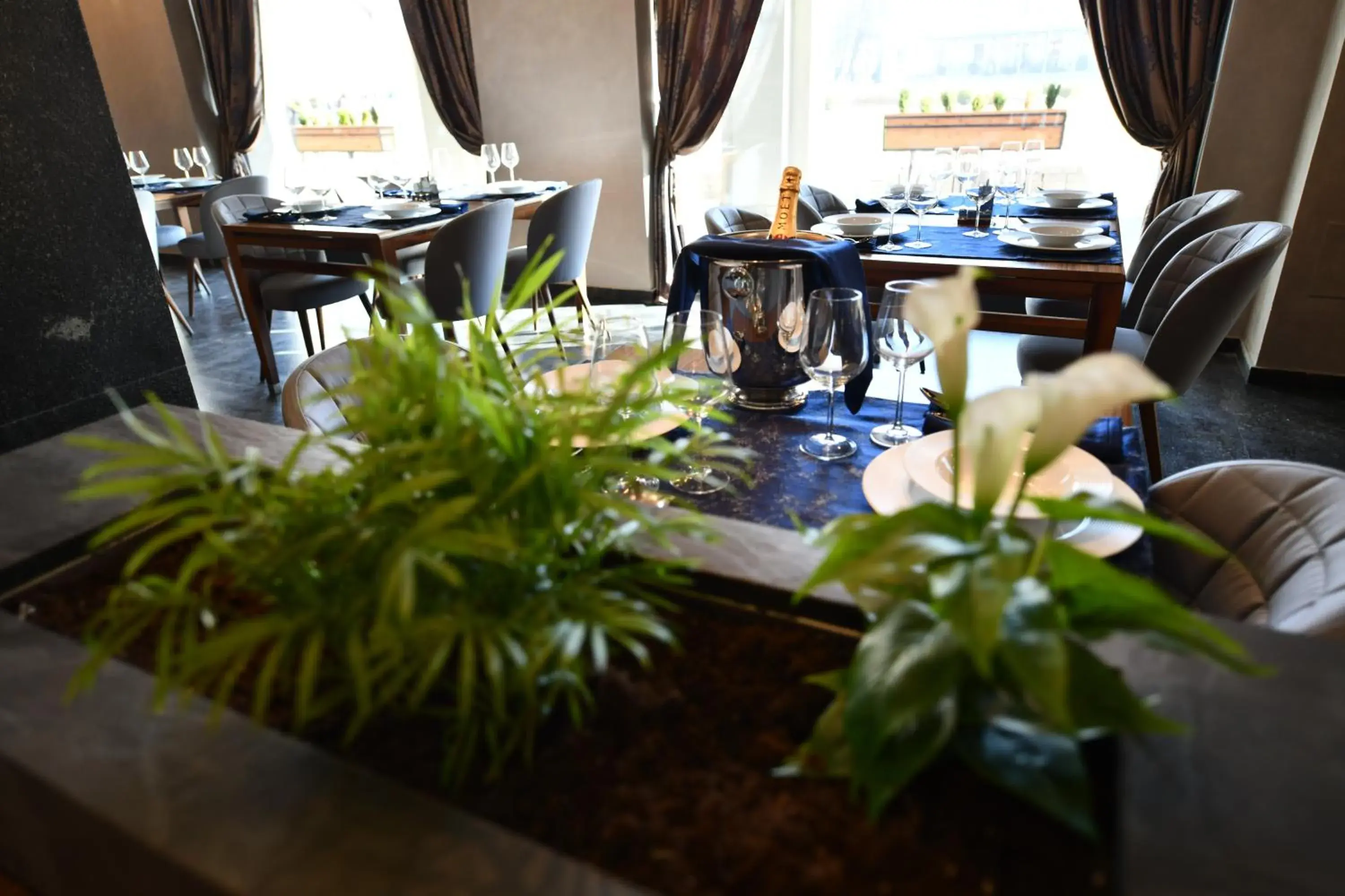 Restaurant/places to eat in Hotel Austria & Bosna Restaurant/places to eat in Hotel Austria & Bosna