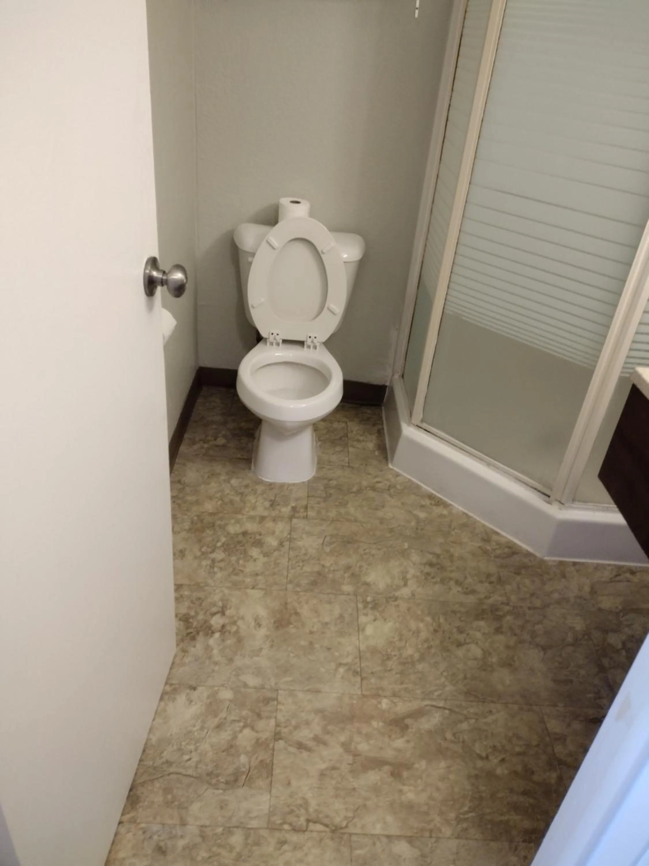 Shower, Bathroom in Capital O Hotel Richmond Hill/Savannah area I-95