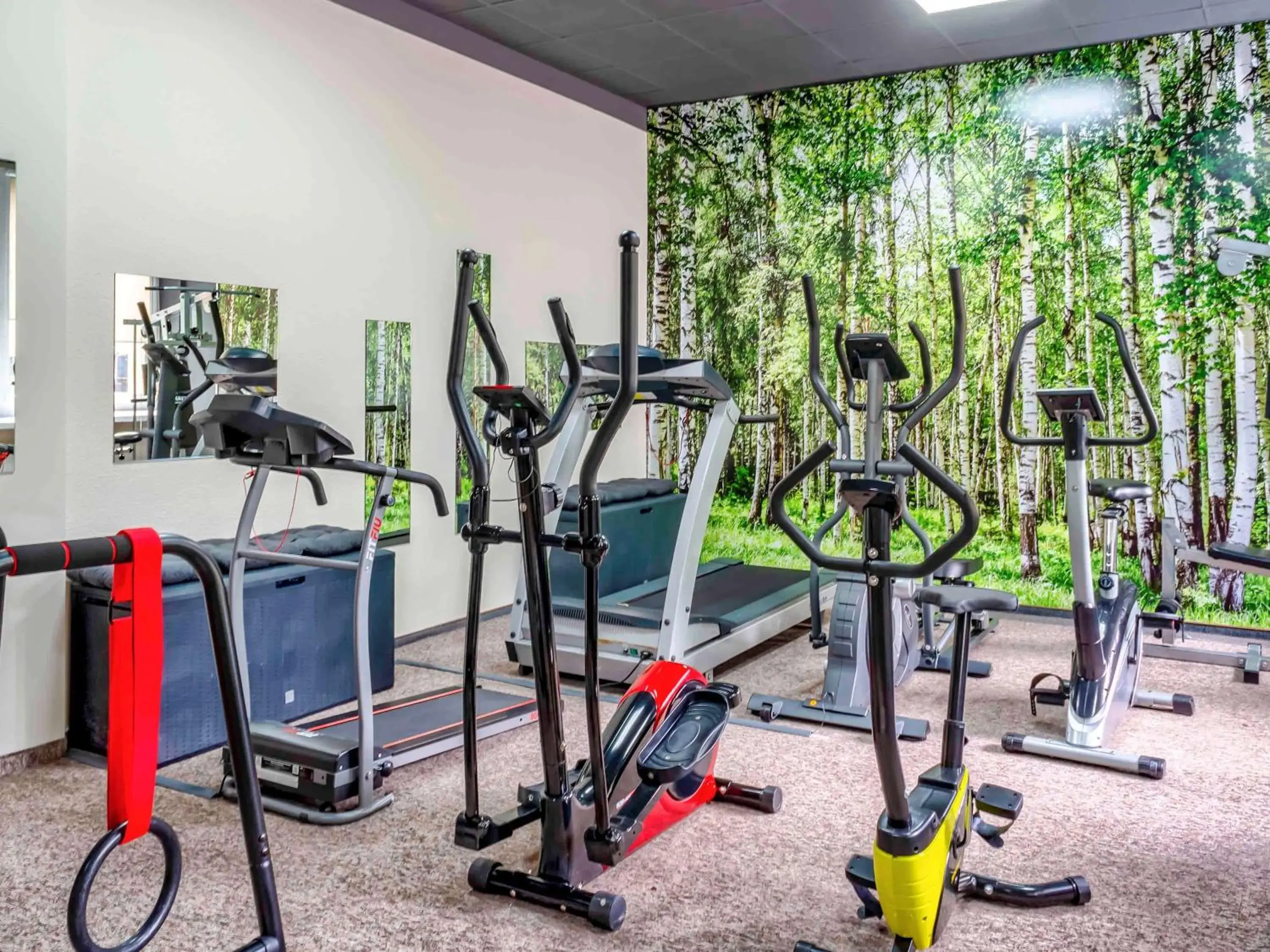 Fitness centre/facilities, Fitness Center/Facilities in Mercure Czestochowa Centrum