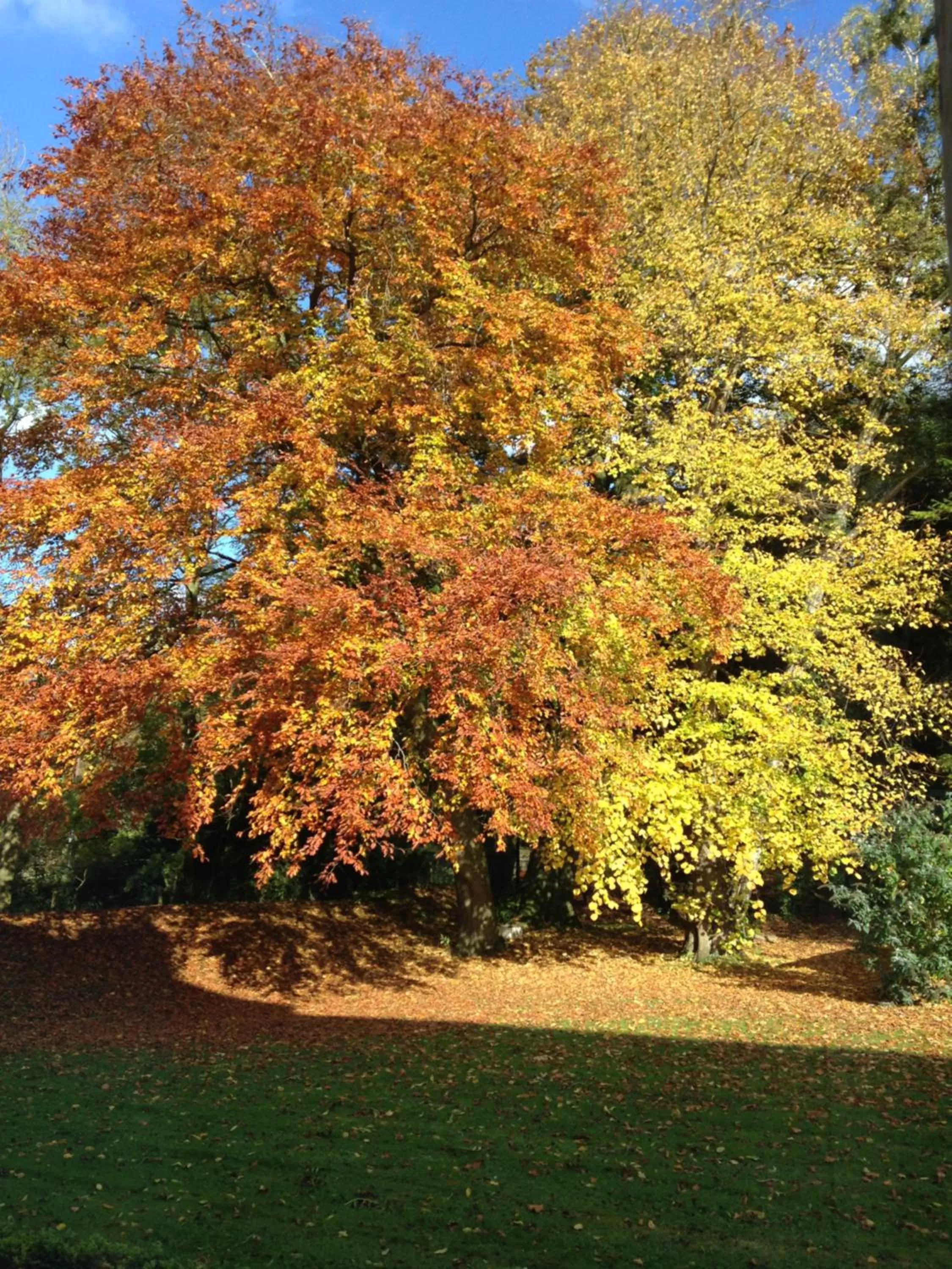 Property building in Murcott Mill