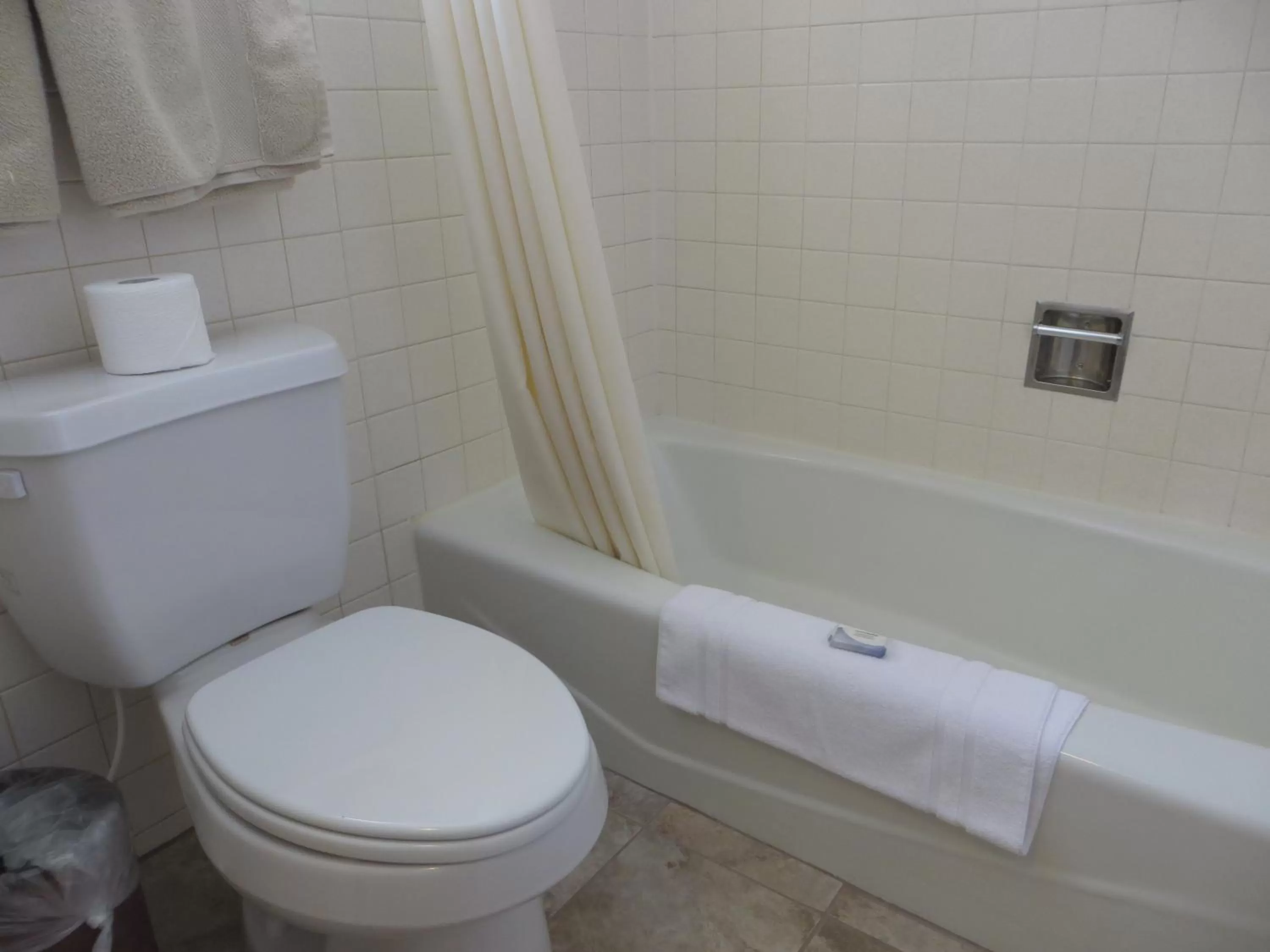 Bathroom in Bristlecone Motel