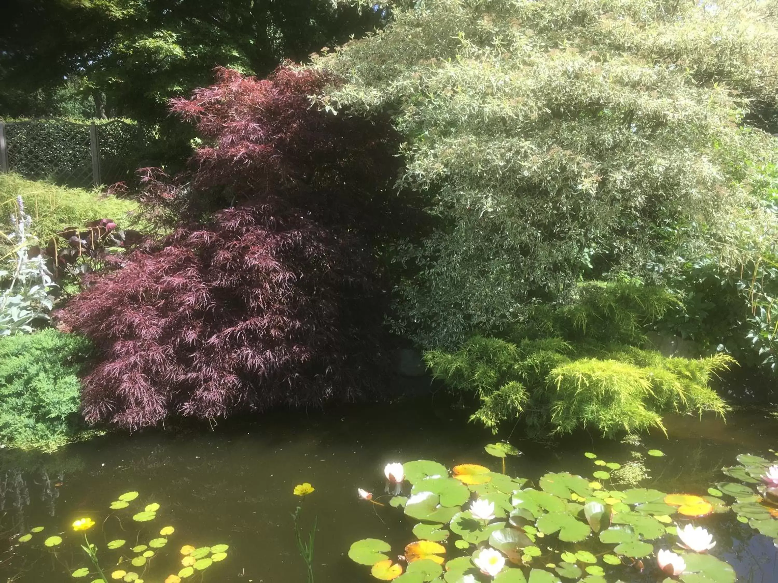 Garden in Woodlands Cottage Farm