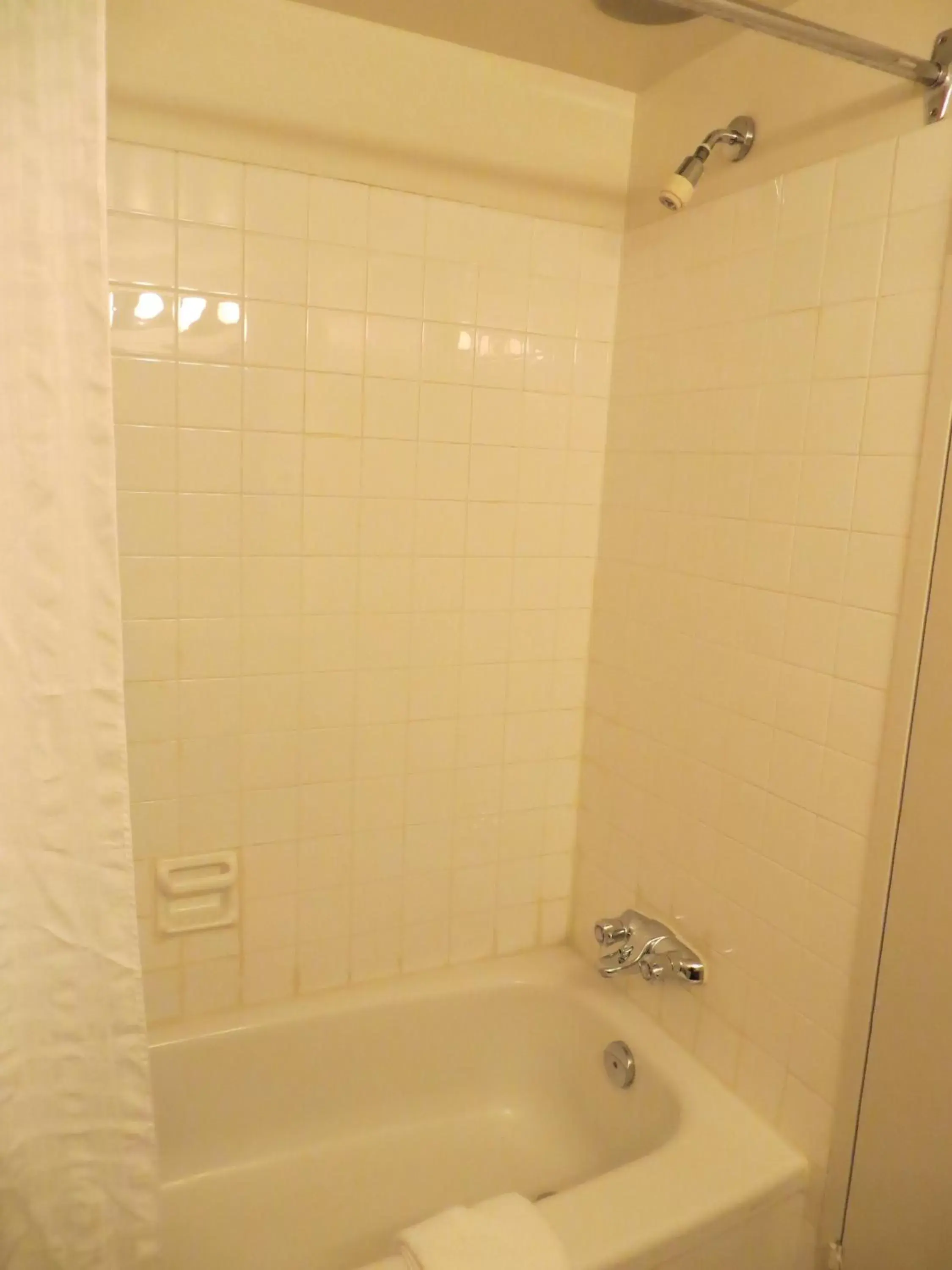 Shower, Bathroom in Heritage Inn Hotel & Convention Centre - Pincher Creek